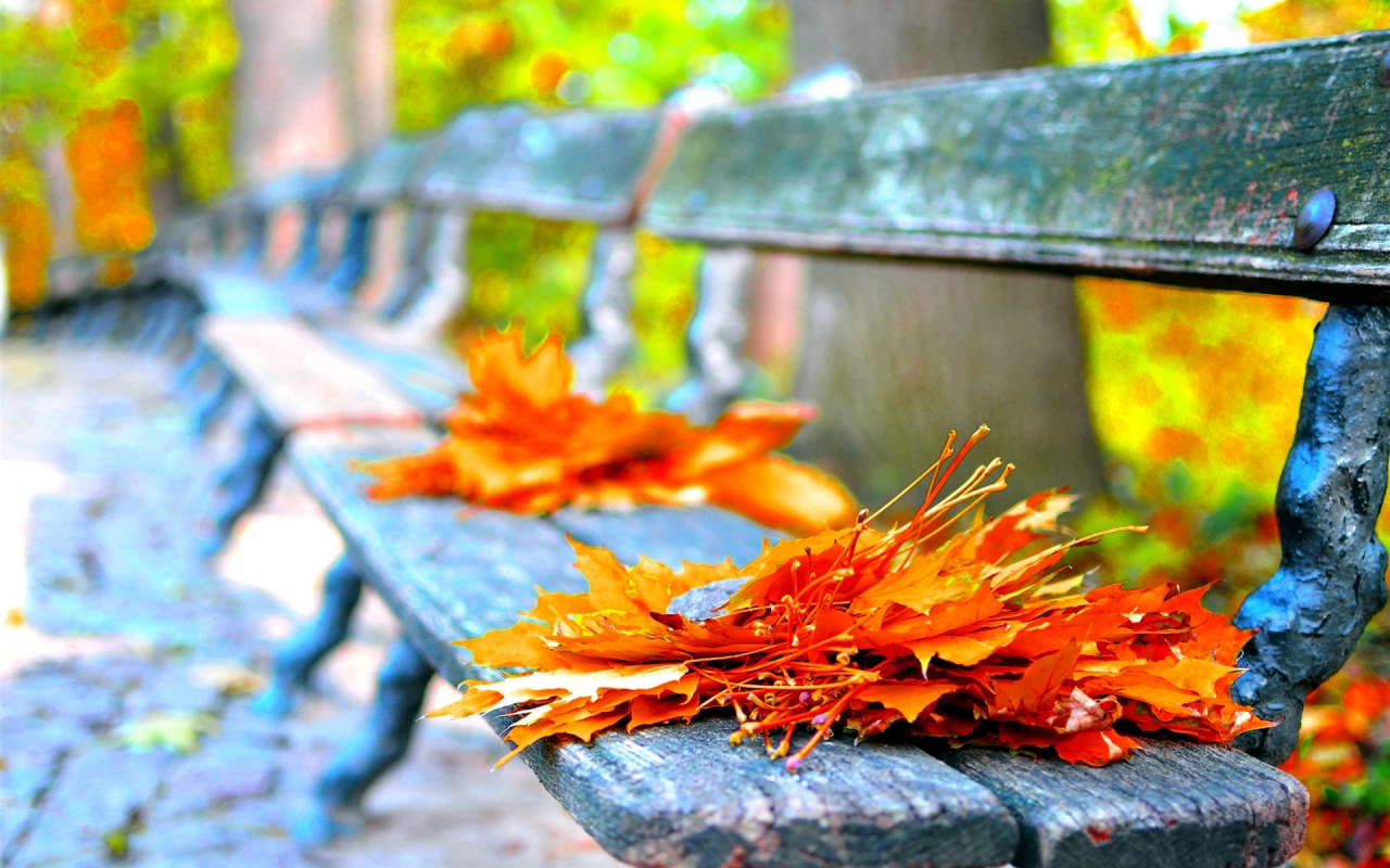 Free download wallpaper Fall, Photography on your PC desktop