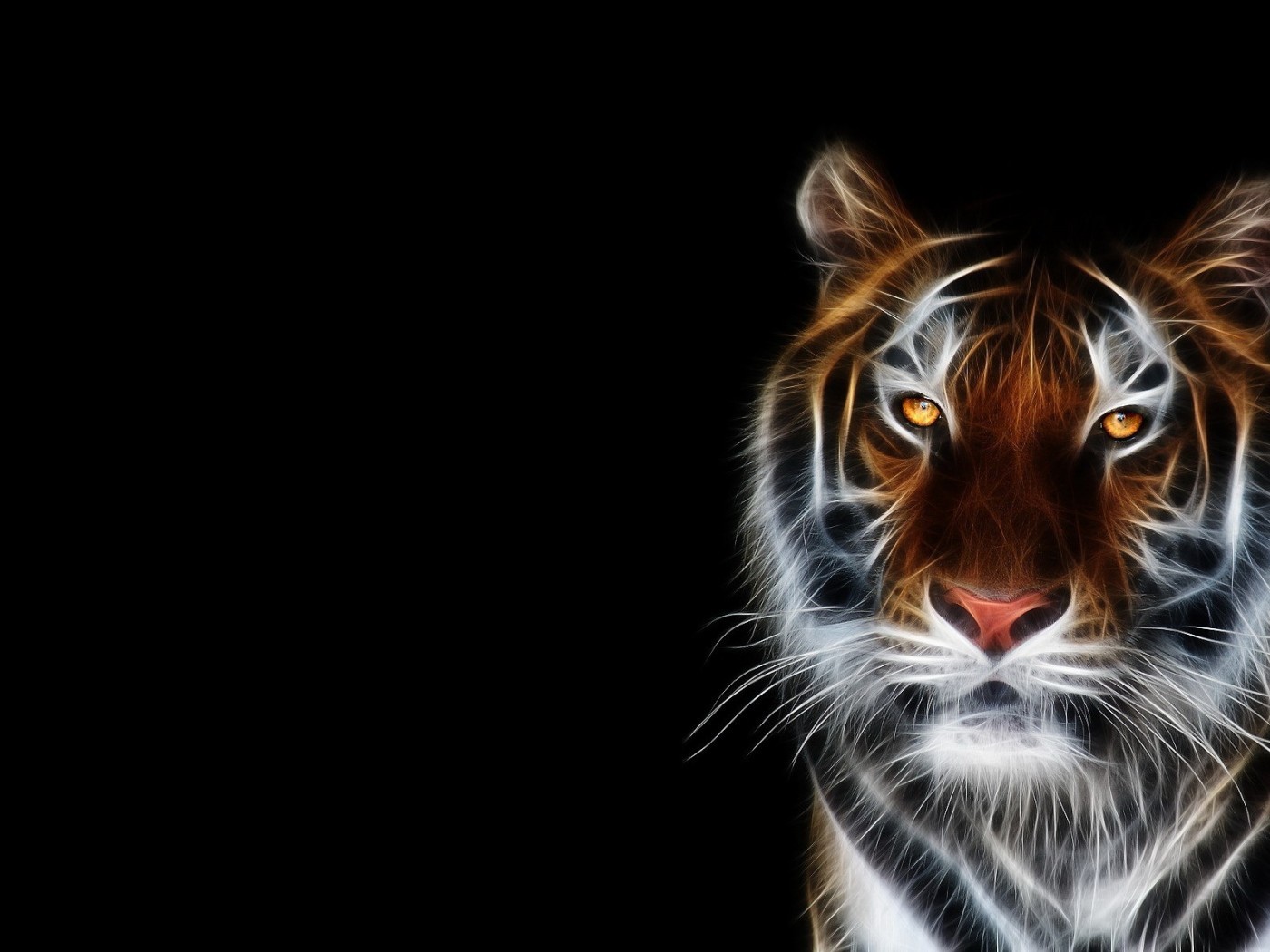 20147 descargar fondo de pantalla tigres, animales, negro: protectores de pantalla e imágenes gratis
