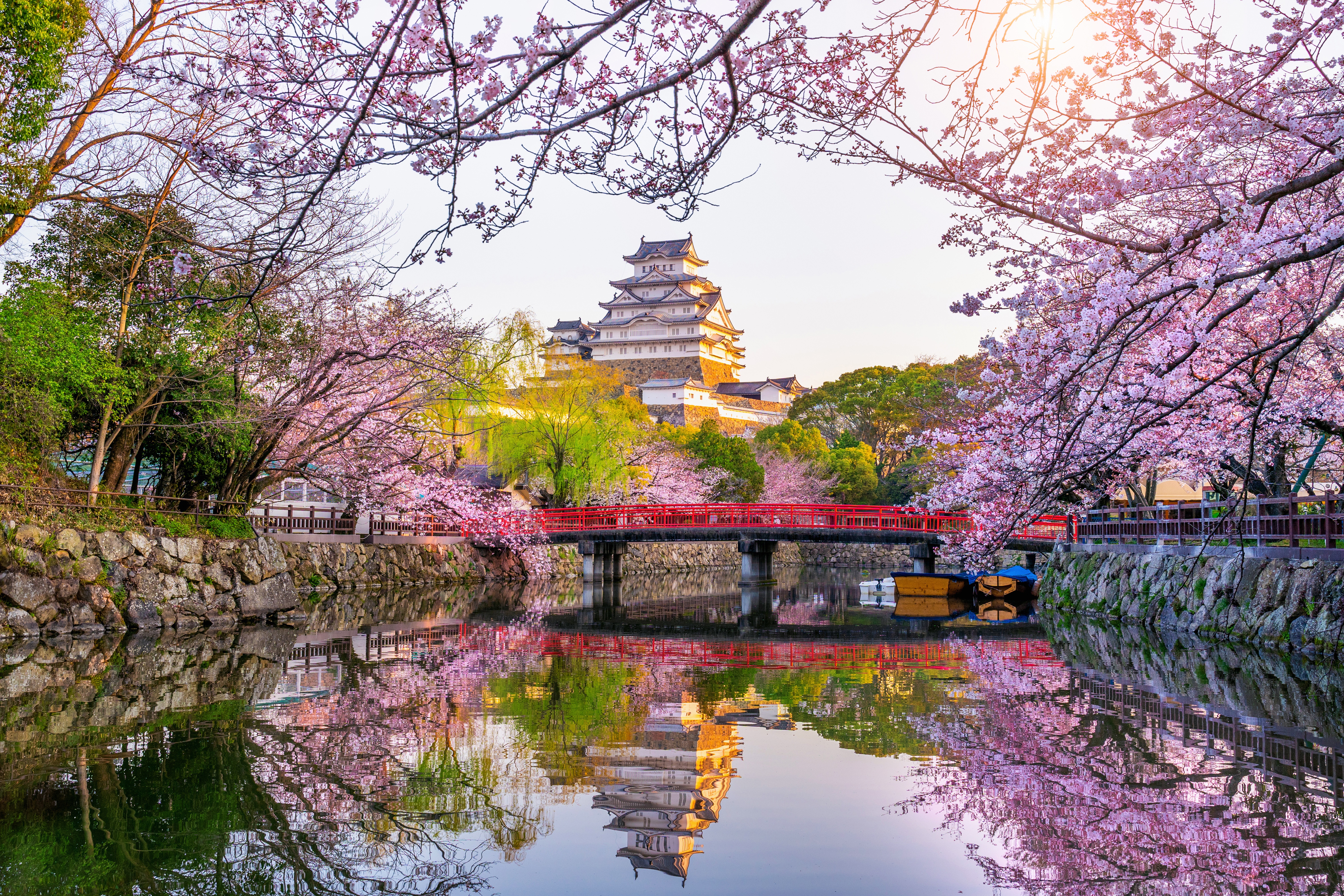 1534558 télécharger l'image japon, château de himeji, sakura, printemps, construction humaine, floraison, château, réflection, châteaux - fonds d'écran et économiseurs d'écran gratuits