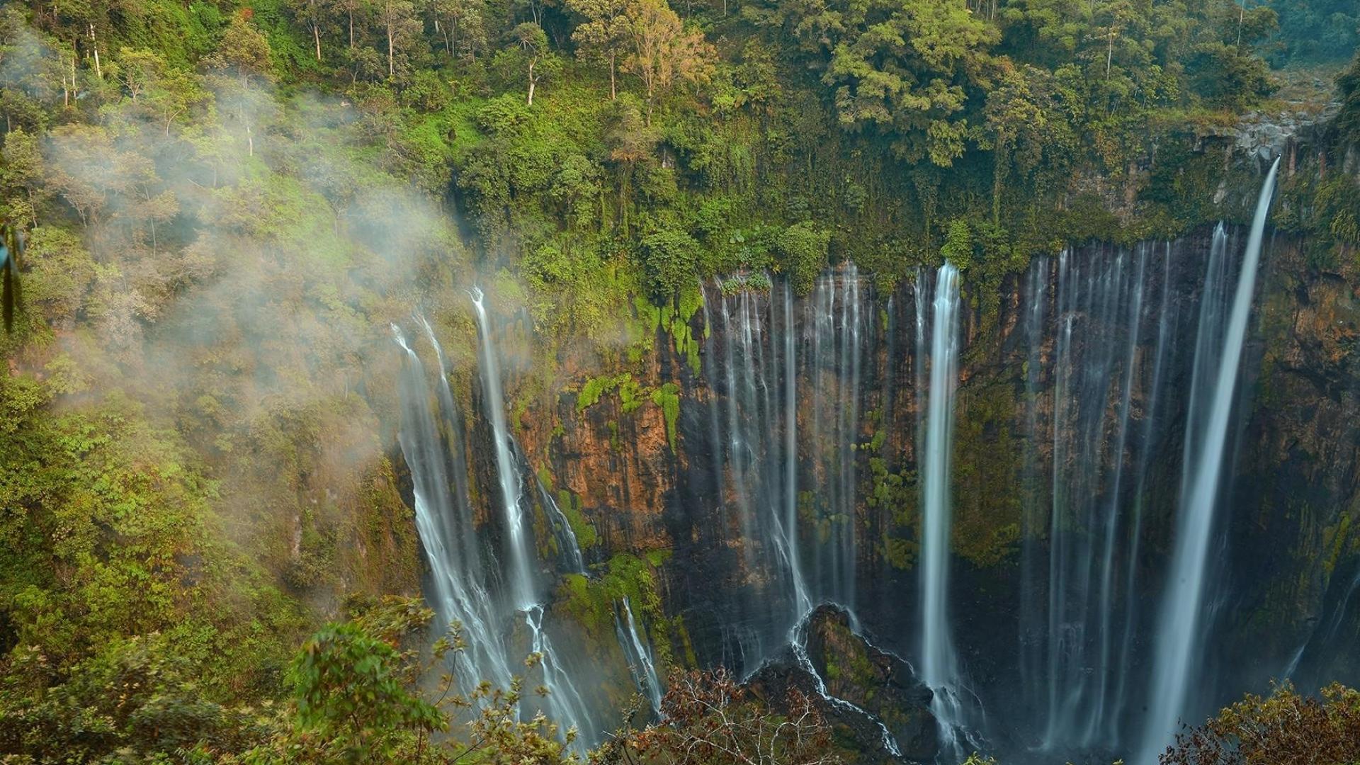 Скачать картинку Водопады, Водопад, Лес, Дерево, Зеленый, Индонезия, Земля/природа в телефон бесплатно.
