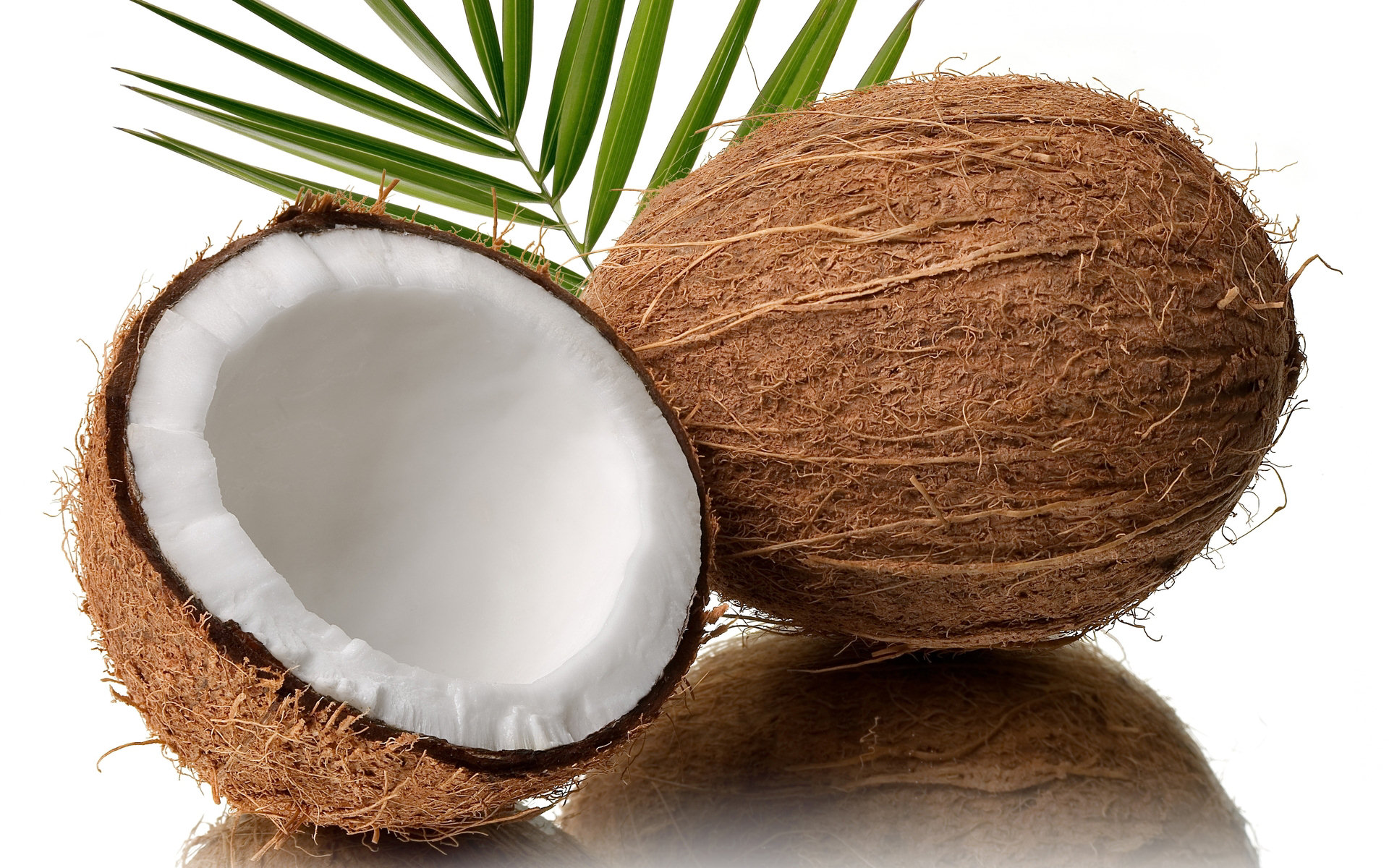 Die besten Kokosnuss-Hintergründe für den Telefonbildschirm