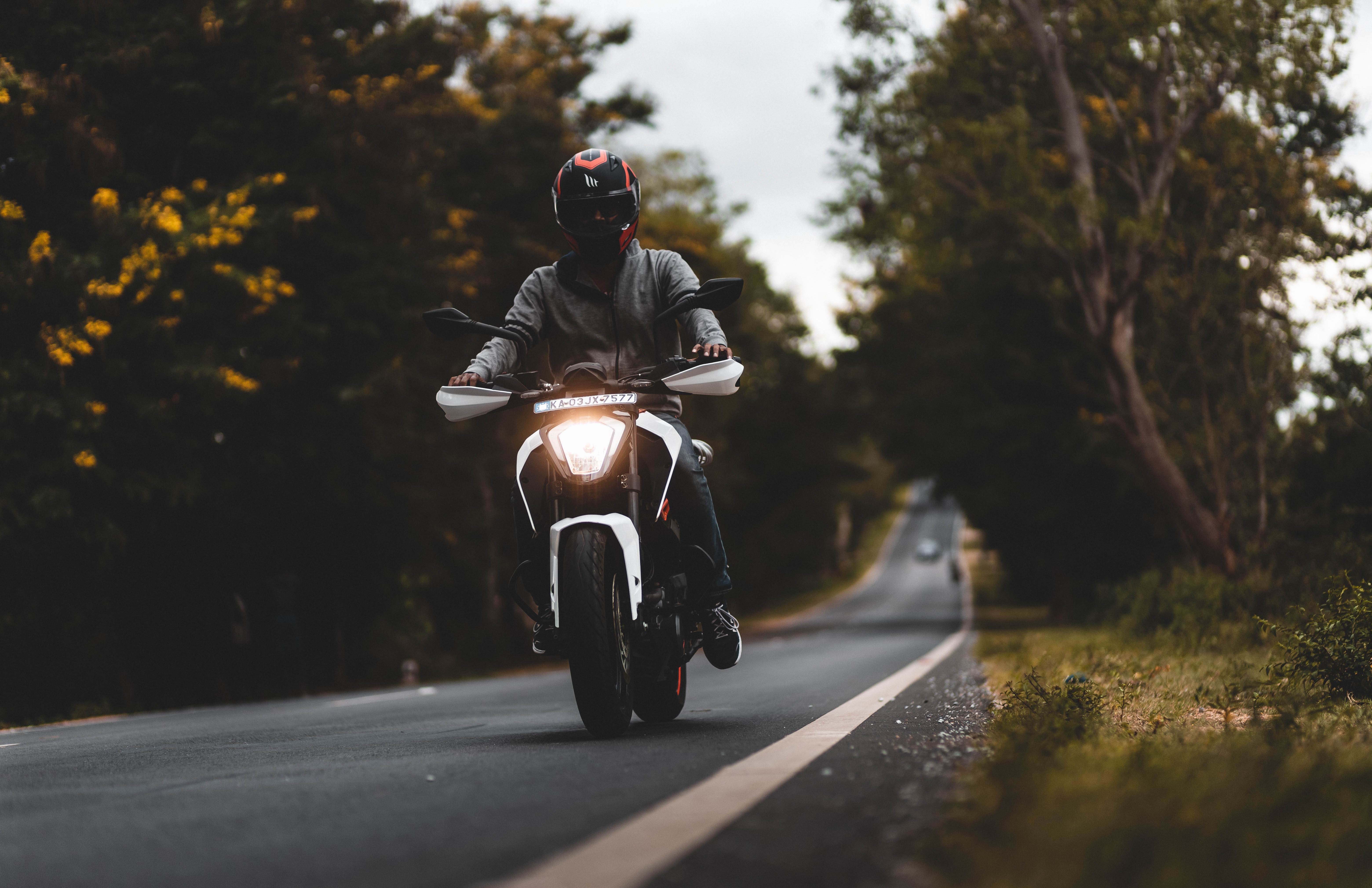 motorcyclist, motorcycles, trees, white, road, motorcycle HD wallpaper