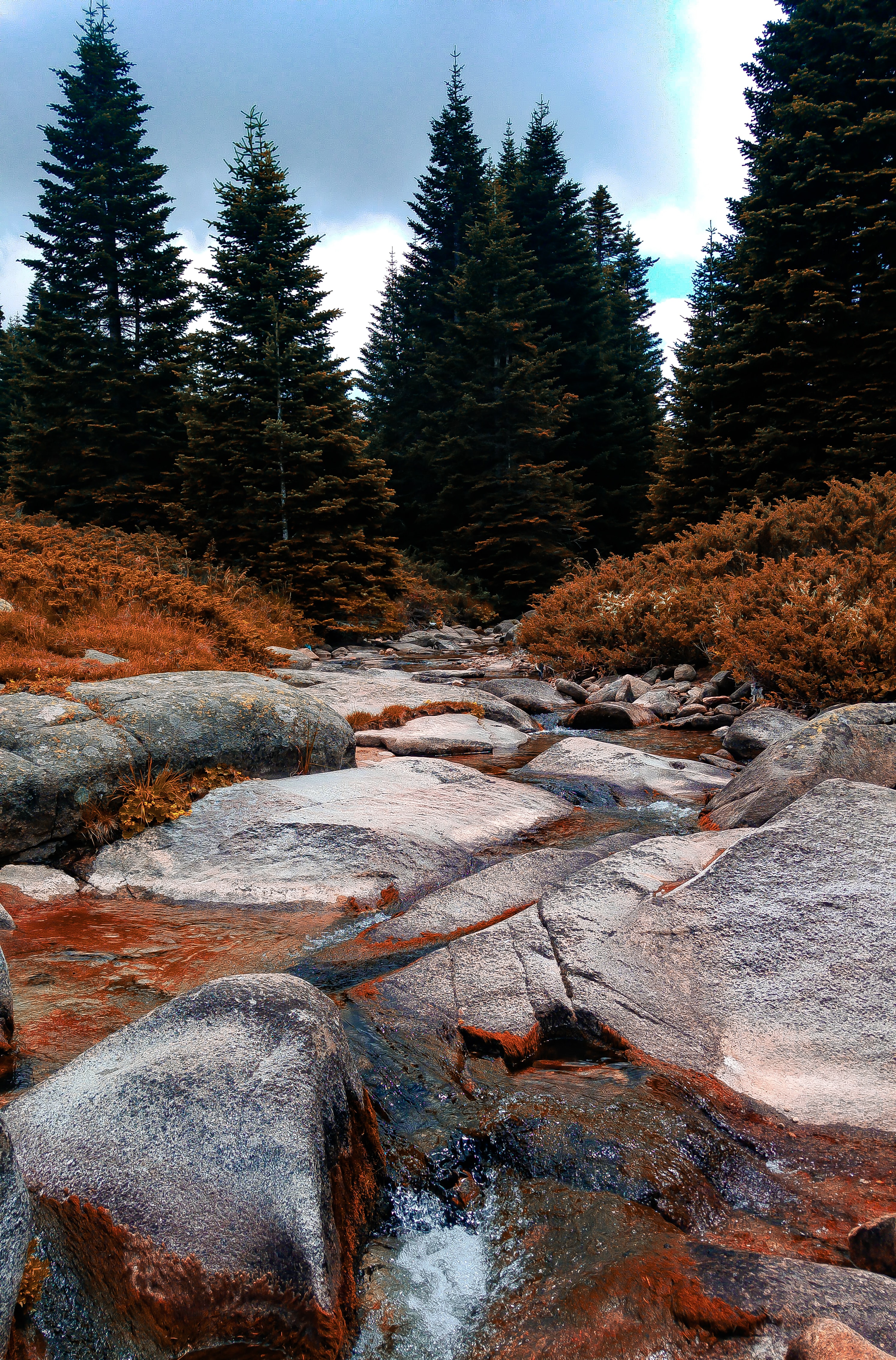 Download mobile wallpaper Spruce, Fir, Rock, Stone, Rivers, Trees, Nature for free.
