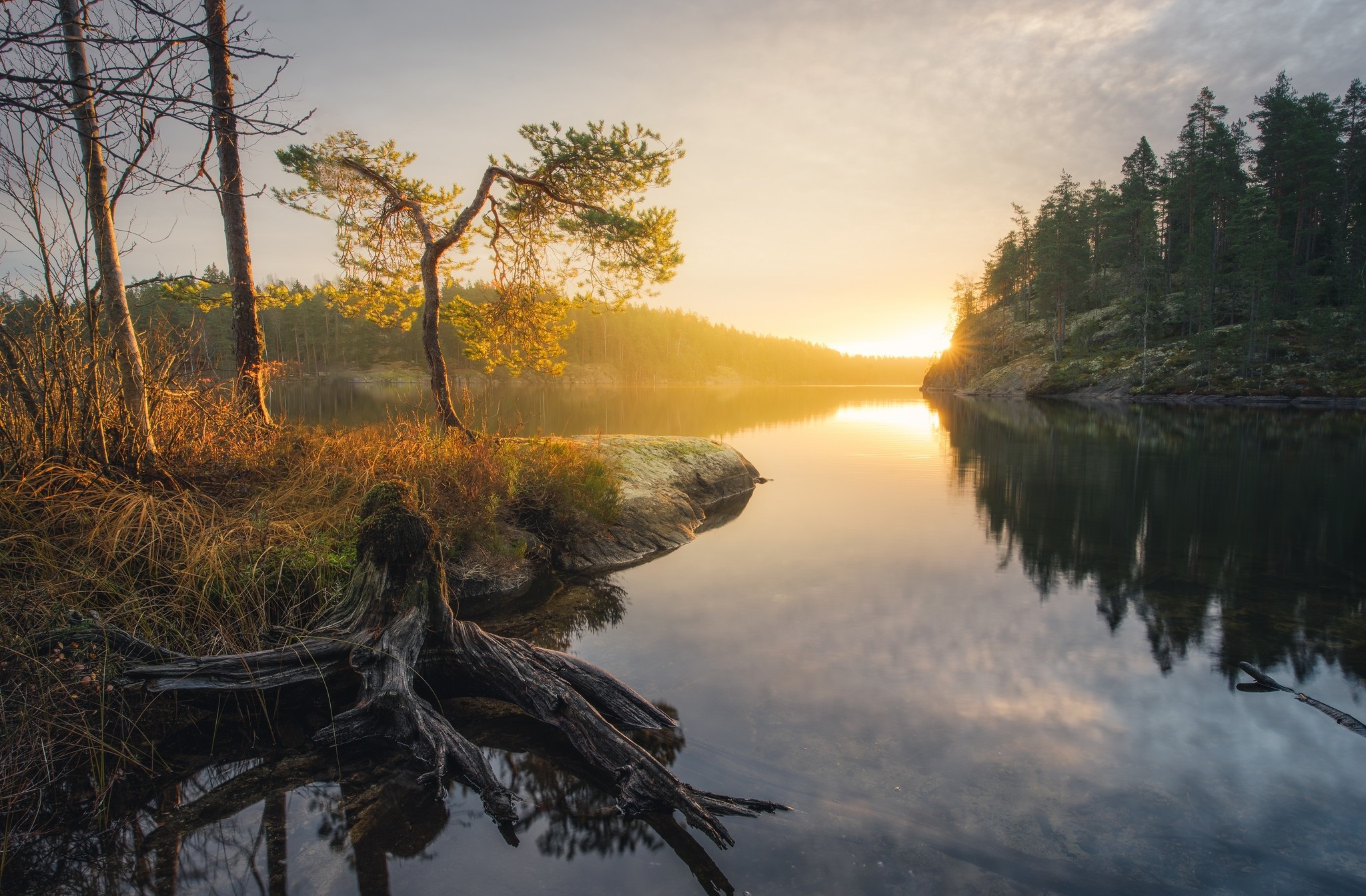 Laden Sie das Seen, See, Wald, Baum, Sonnenaufgang, Erde/natur-Bild kostenlos auf Ihren PC-Desktop herunter