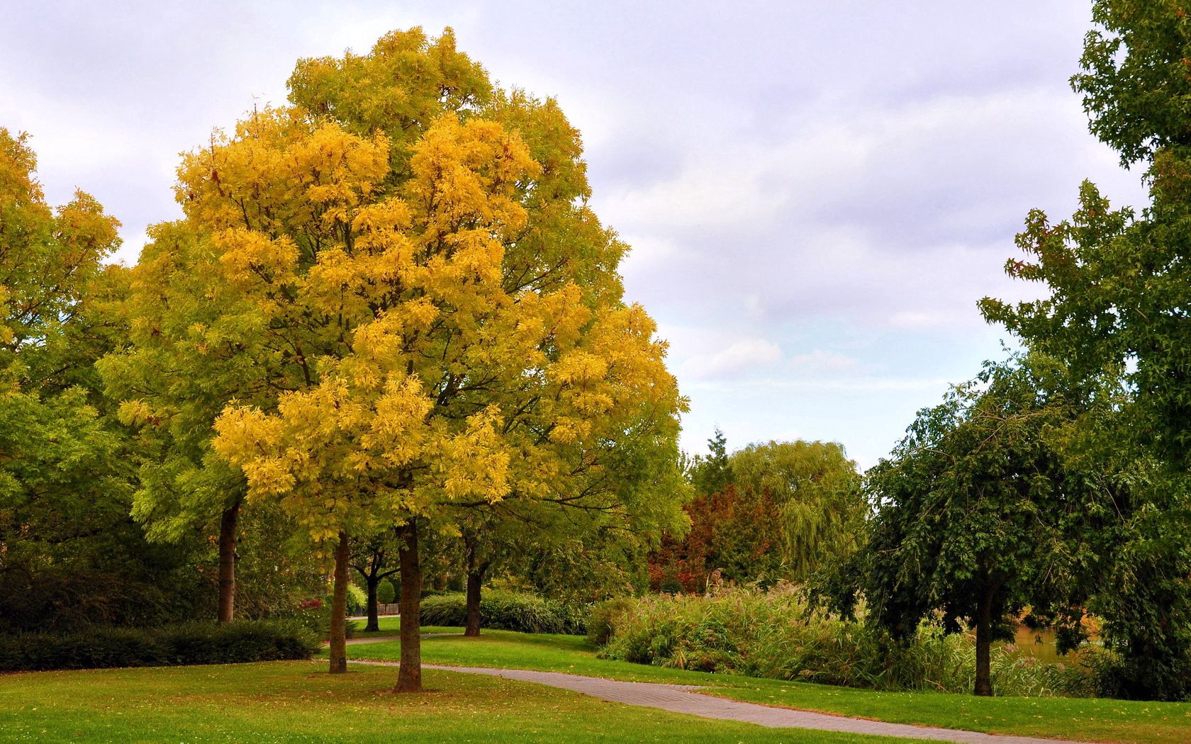 156062 скачать обои парк, октябрь, осень, природа, деревья, небо, аллея, дорожка, хмурое - заставки и картинки бесплатно