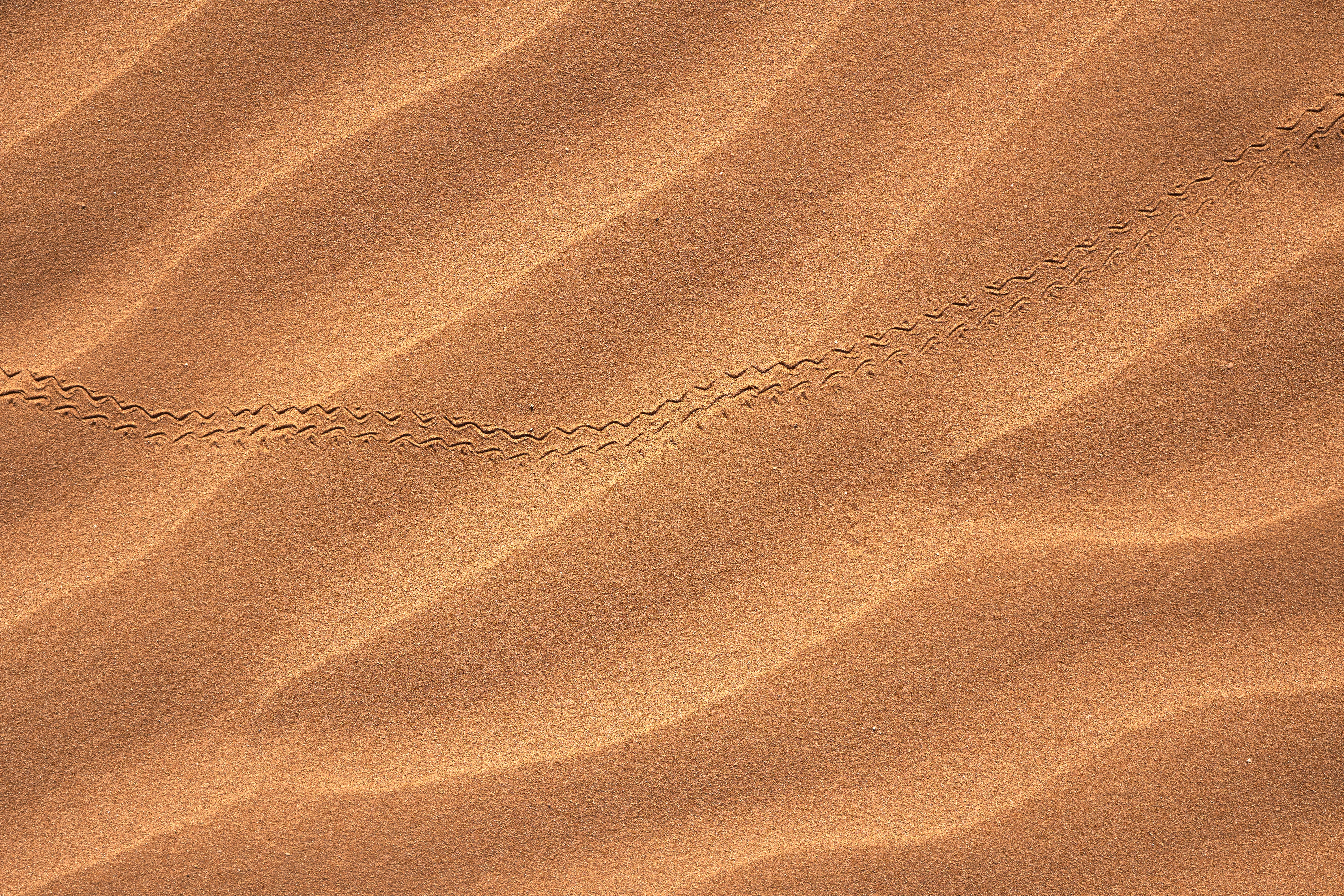 dunes, nature, sand, desert, track, trace wallpaper for mobile