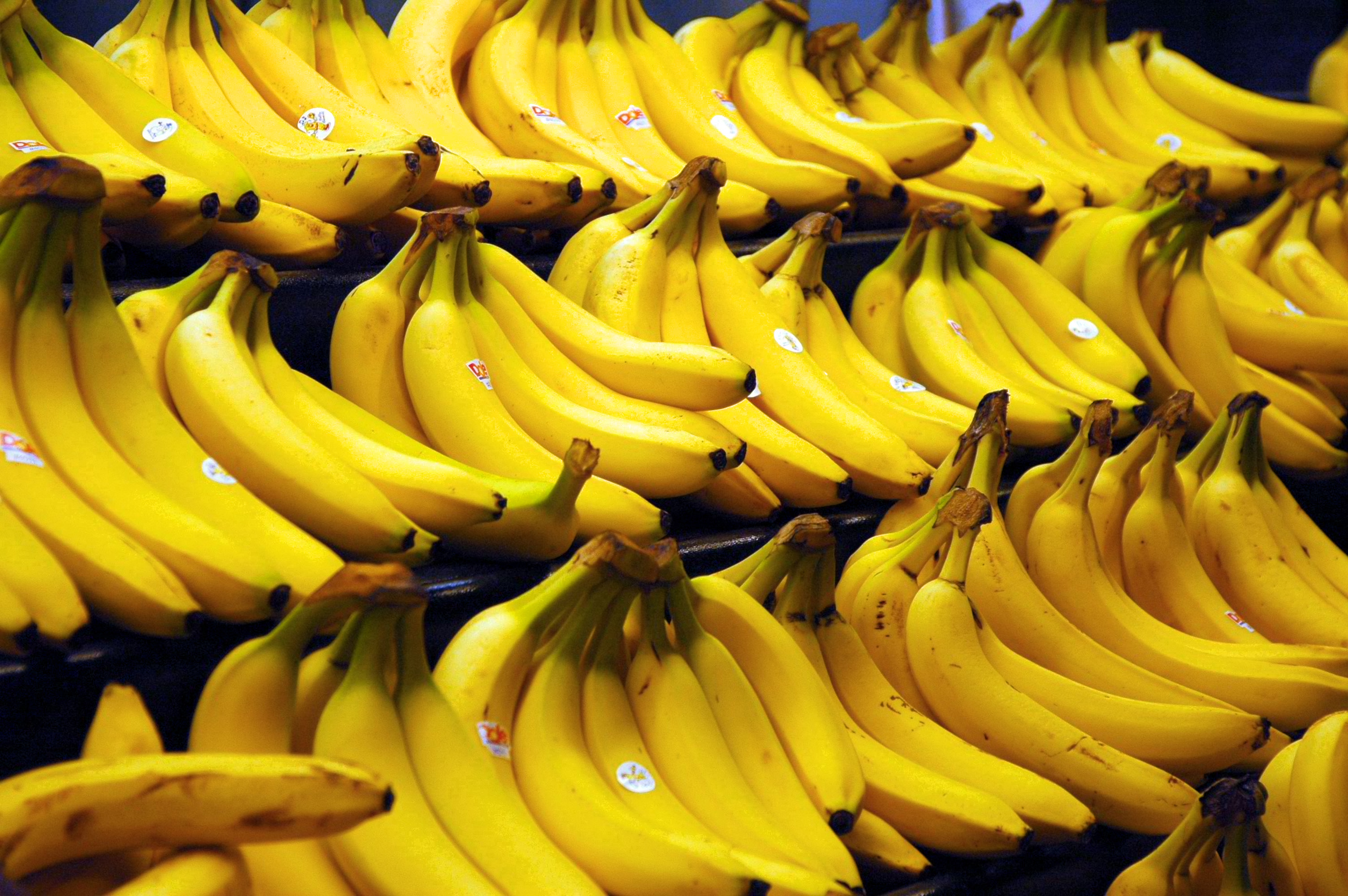 Téléchargez des papiers peints mobile Banane, Des Fruits, Nourriture gratuitement.