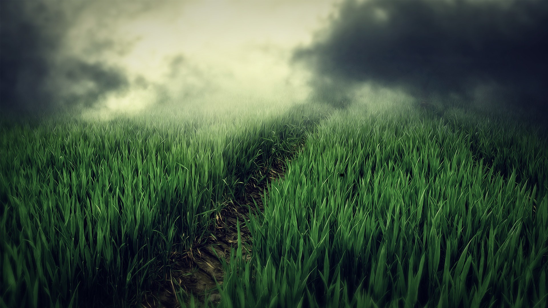 Free download wallpaper Earth, Field on your PC desktop