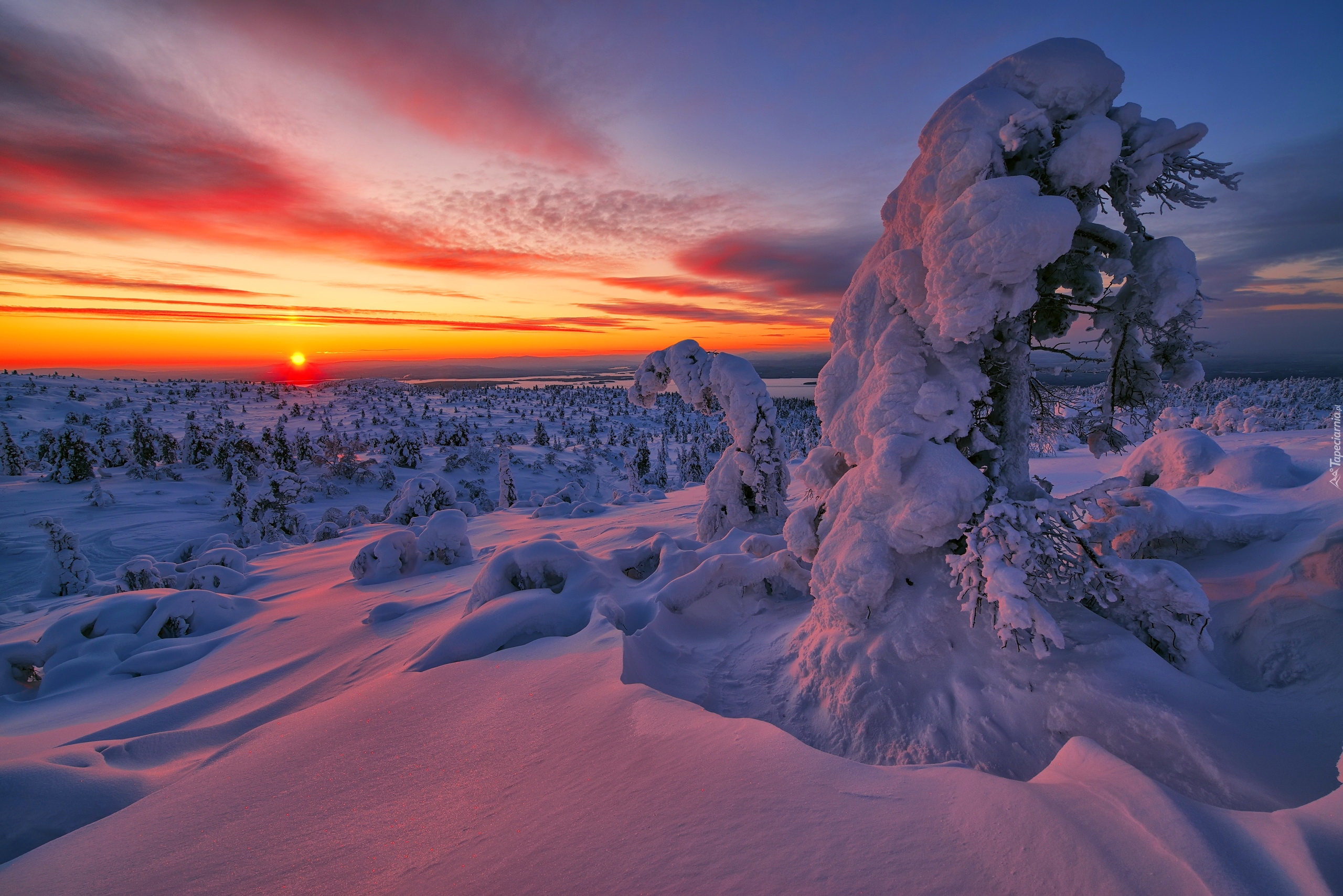 Download mobile wallpaper Winter, Sunset, Snow, Tree, Earth for free.