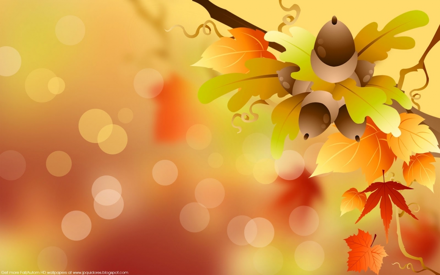 autumn, background, leaves, pictures, acorns