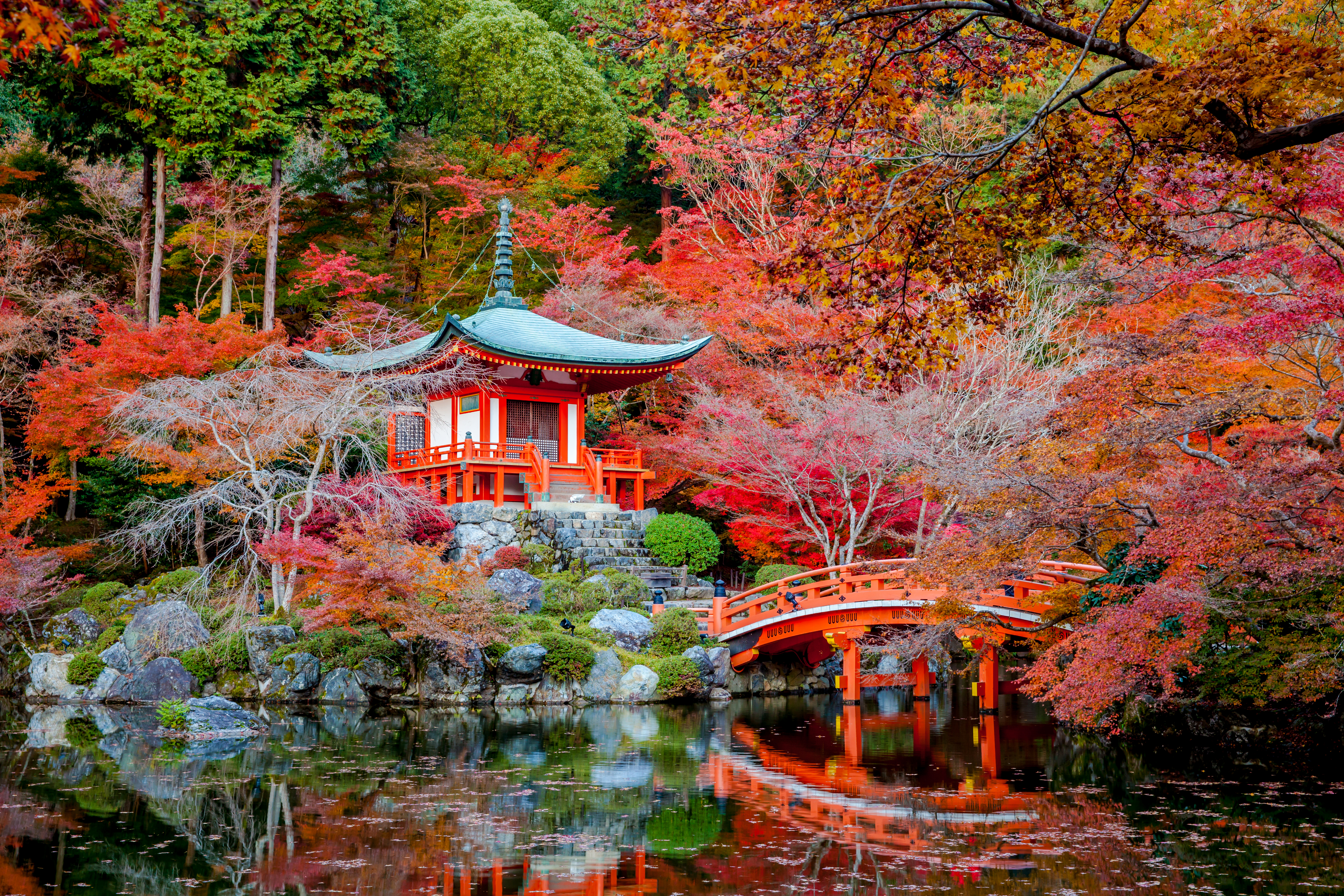 1527808 baixar papel de parede religioso, daigo ji, ponte, outono, jardim japonês, reflecção, santuário, templo, árvore, templos - protetores de tela e imagens gratuitamente
