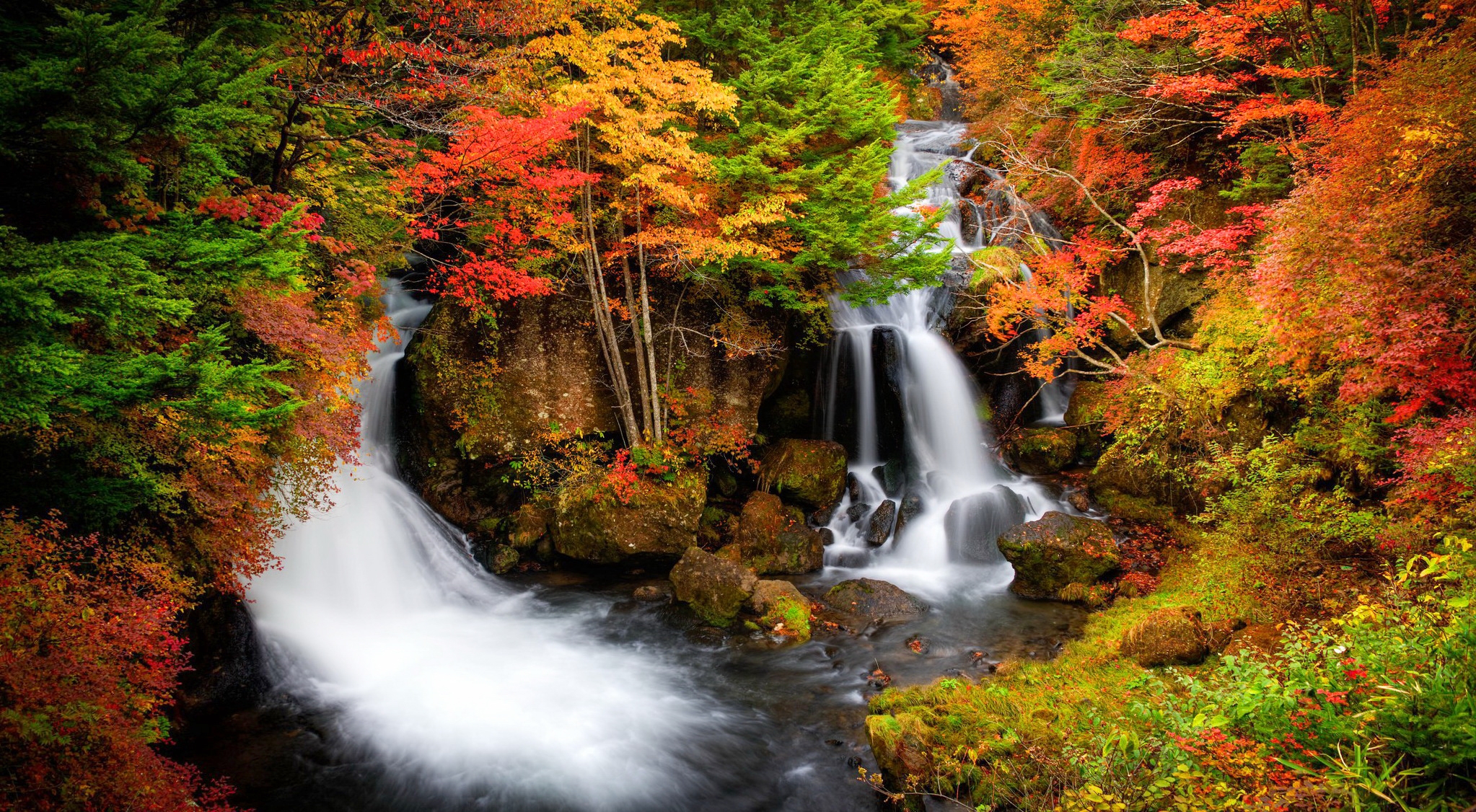 Download mobile wallpaper Waterfalls, Waterfall, Forest, Tree, Leaf, Fall, Earth for free.