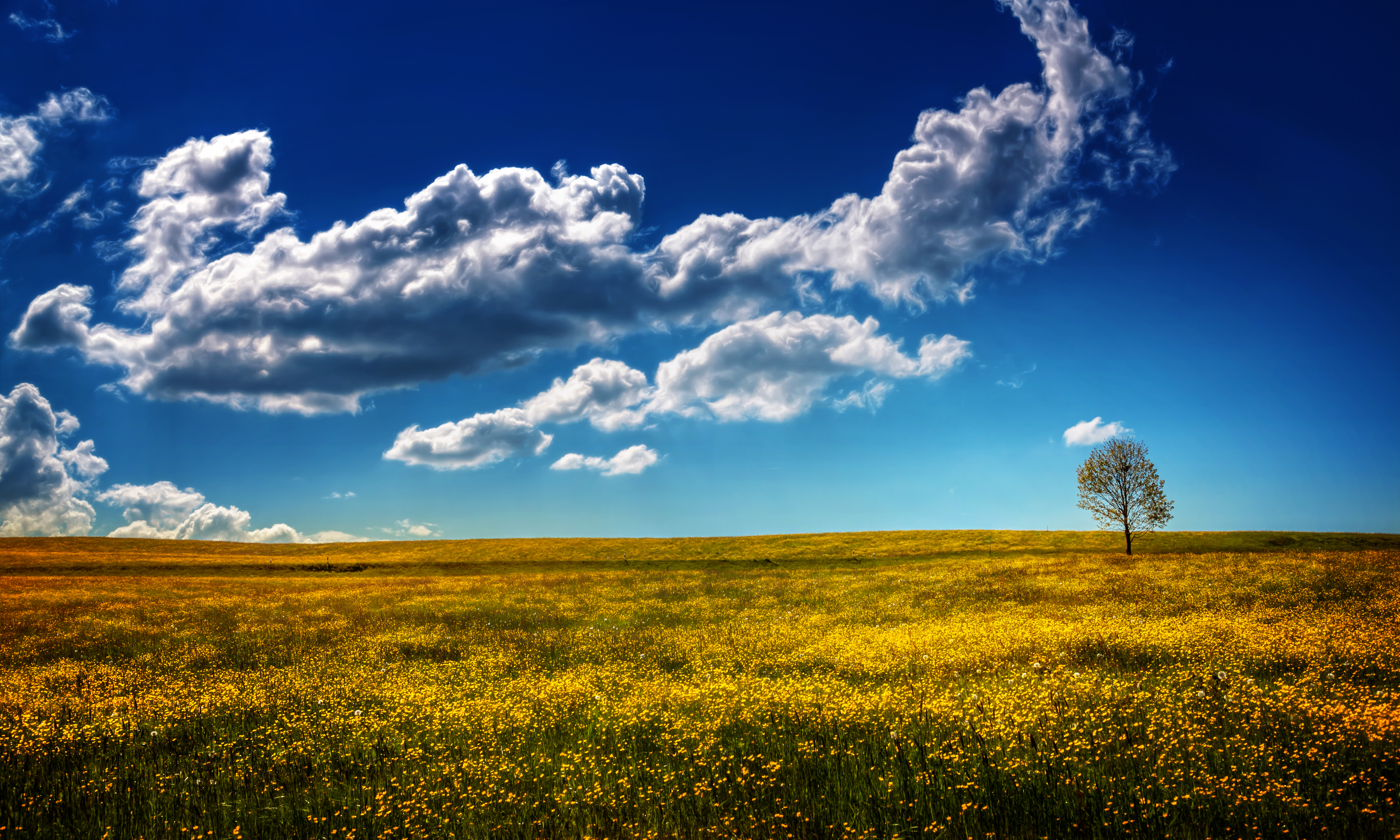 Laden Sie das Wolke, Himmel, Erde/natur, Einsamer Baum-Bild kostenlos auf Ihren PC-Desktop herunter