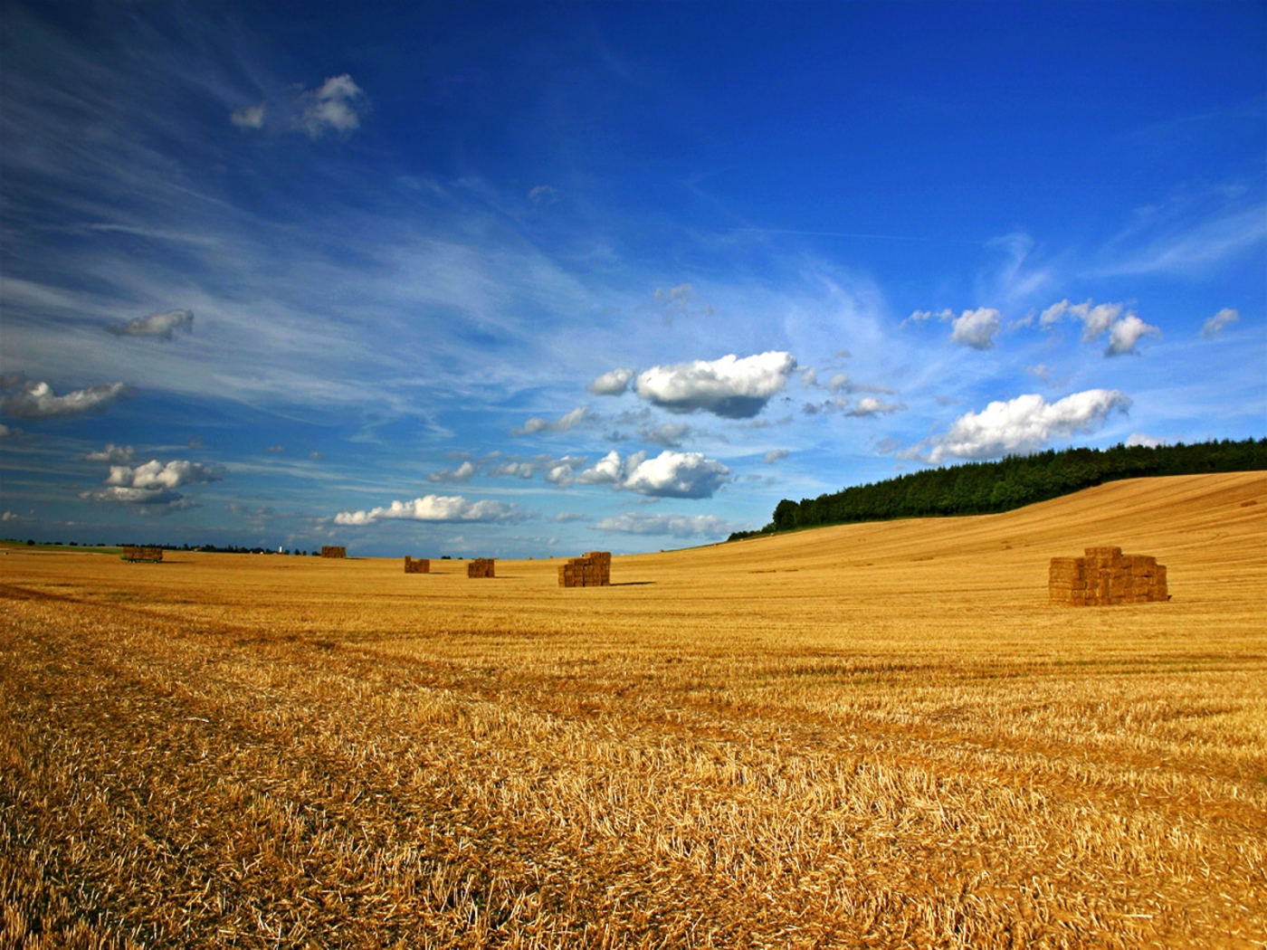 Free download wallpaper Landscape, Sky, Fields on your PC desktop