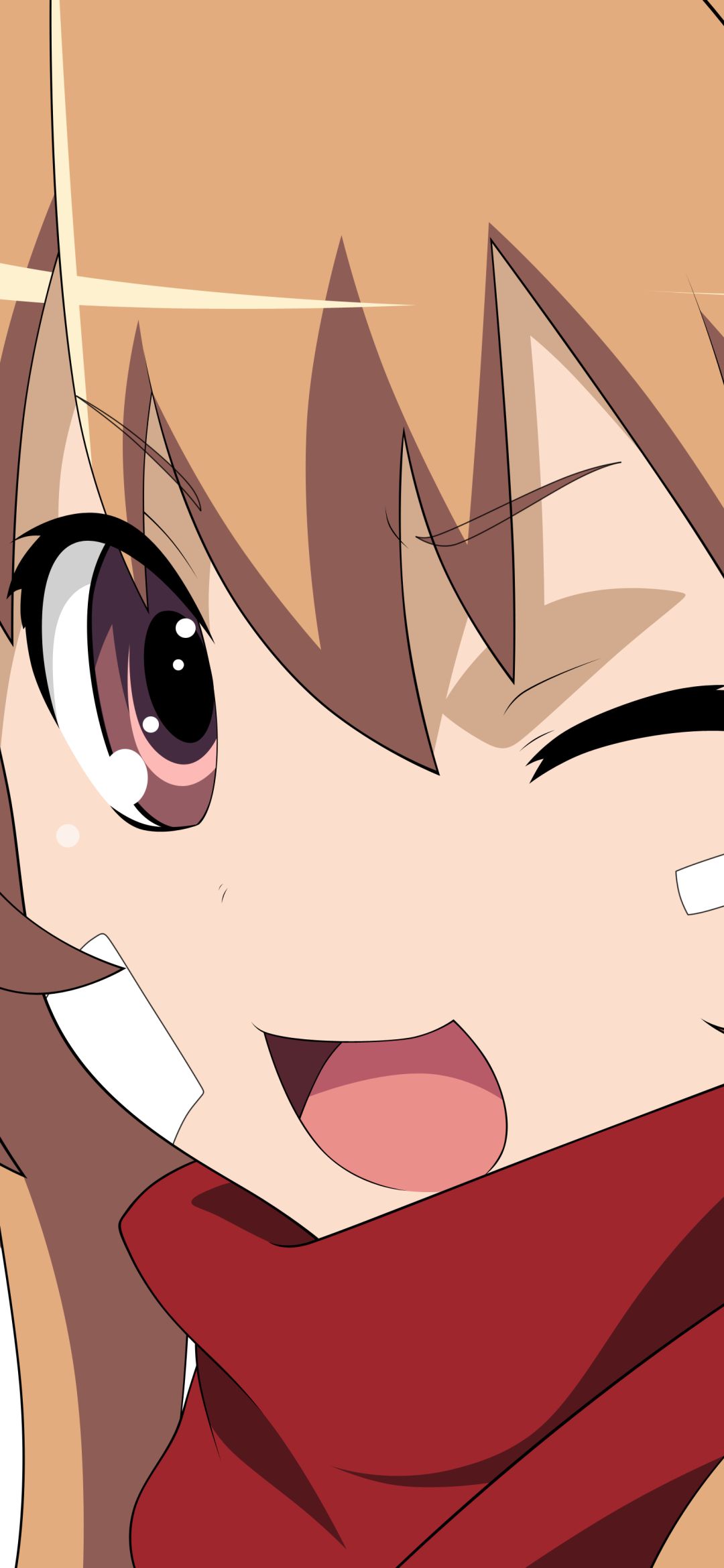 Handy-Wallpaper Animes, Toradora!, Taiga Aisaka kostenlos herunterladen.