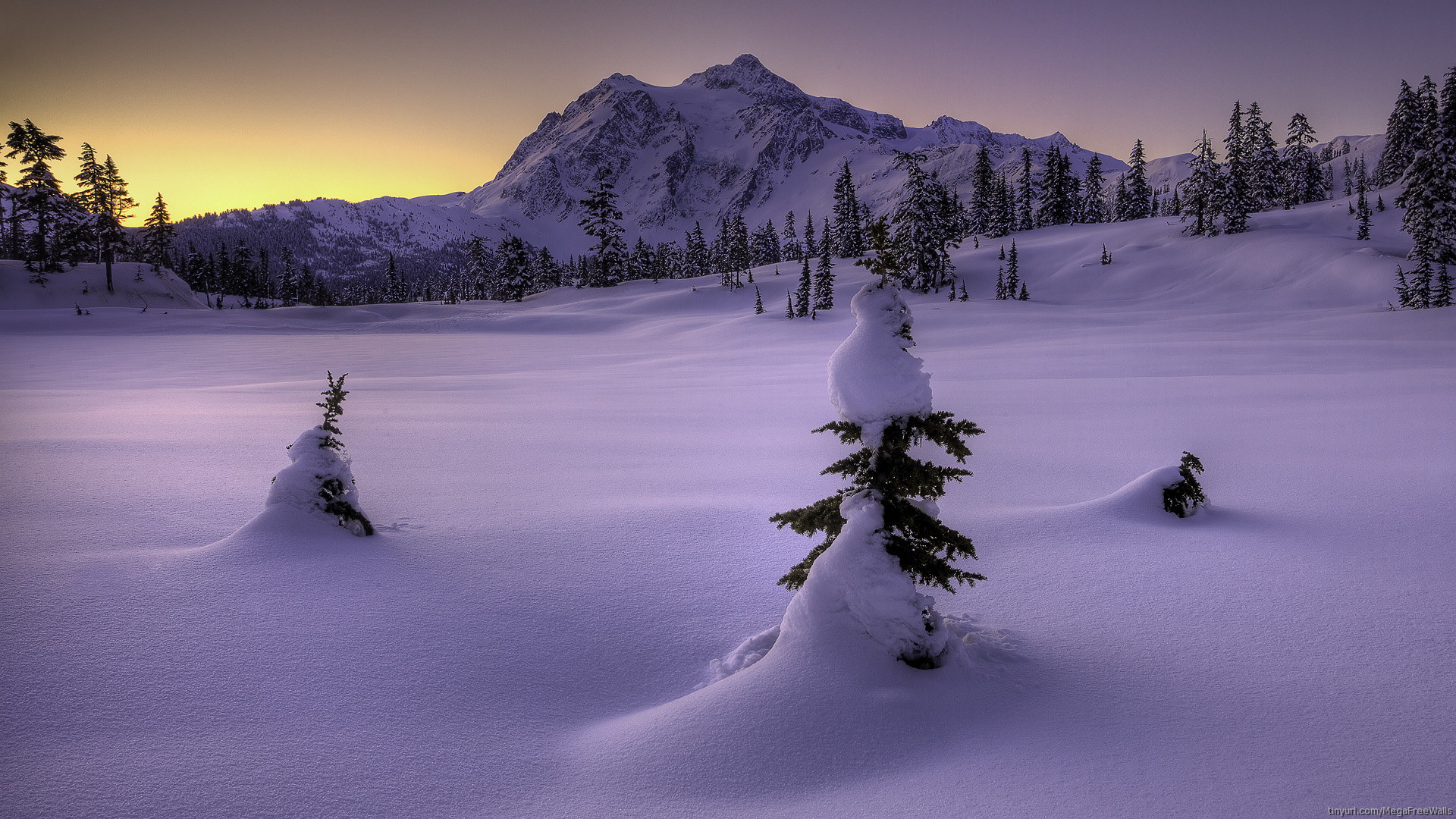 Скачать обои бесплатно Зима, Снег, Гора, Дерево, Земля/природа картинка на рабочий стол ПК