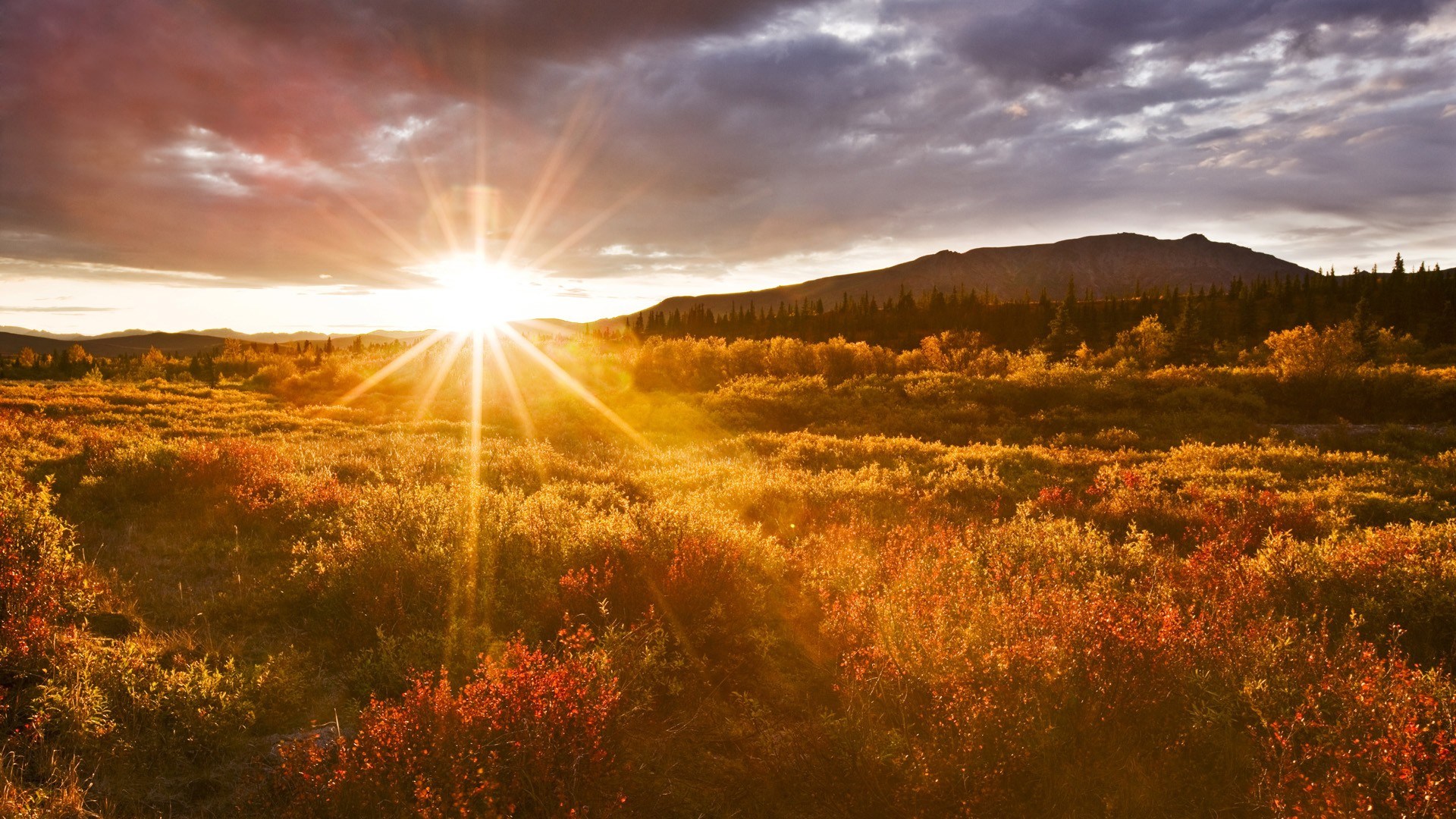 Baixe gratuitamente a imagem Terra/natureza, Raio Solar na área de trabalho do seu PC