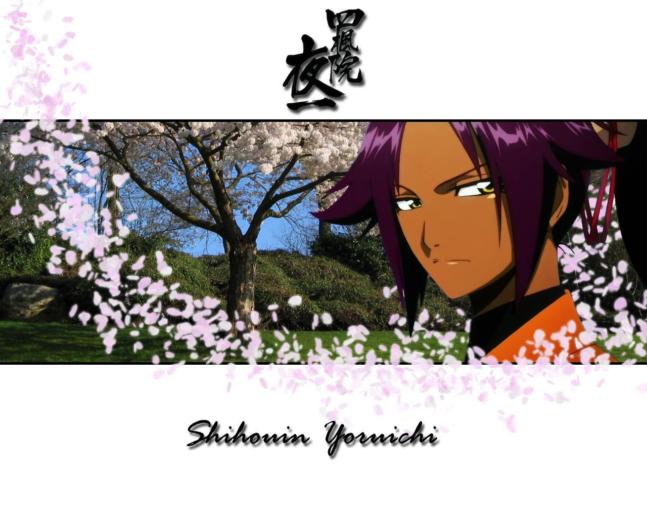Download mobile wallpaper Anime, Bleach, Yoruichi Shihôin for free.