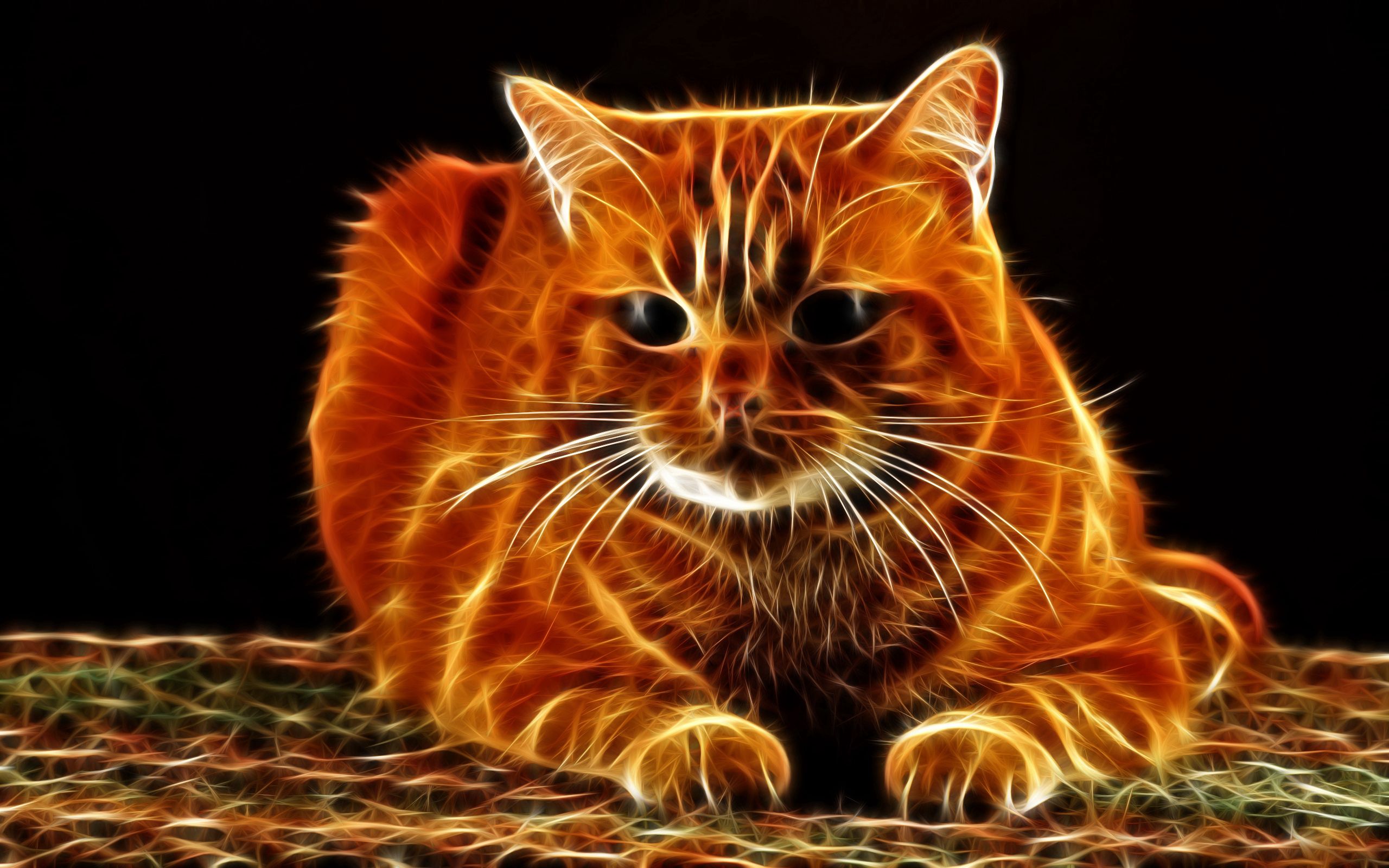 155657 завантажити картинку абстракція, кіт, кішка, морда, товстий, вовна - шпалери і заставки безкоштовно