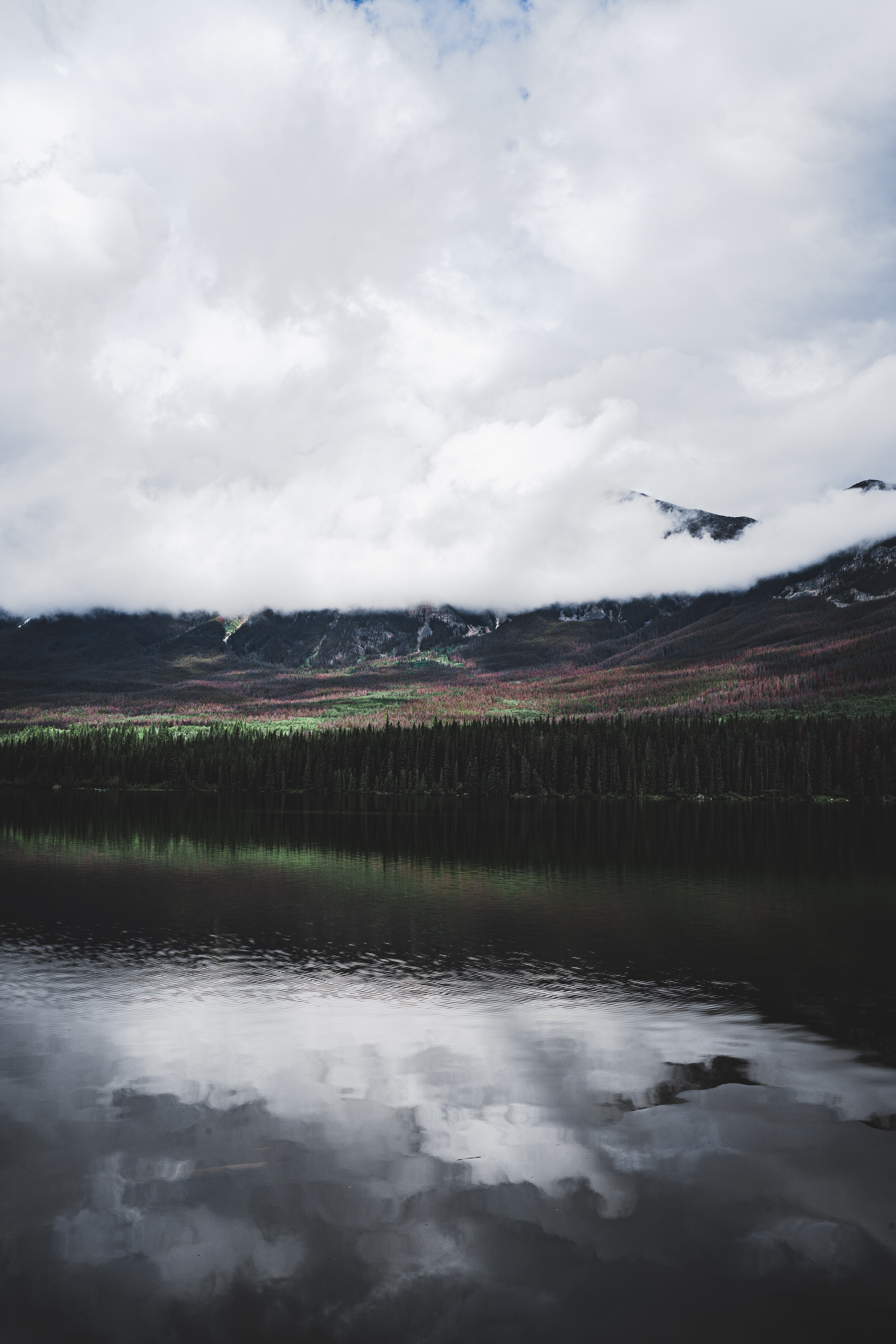 Descarga gratuita de fondo de pantalla para móvil de Reflexión, Naturaleza, Bosque, Nubes, Lago, Montañas, Árboles.