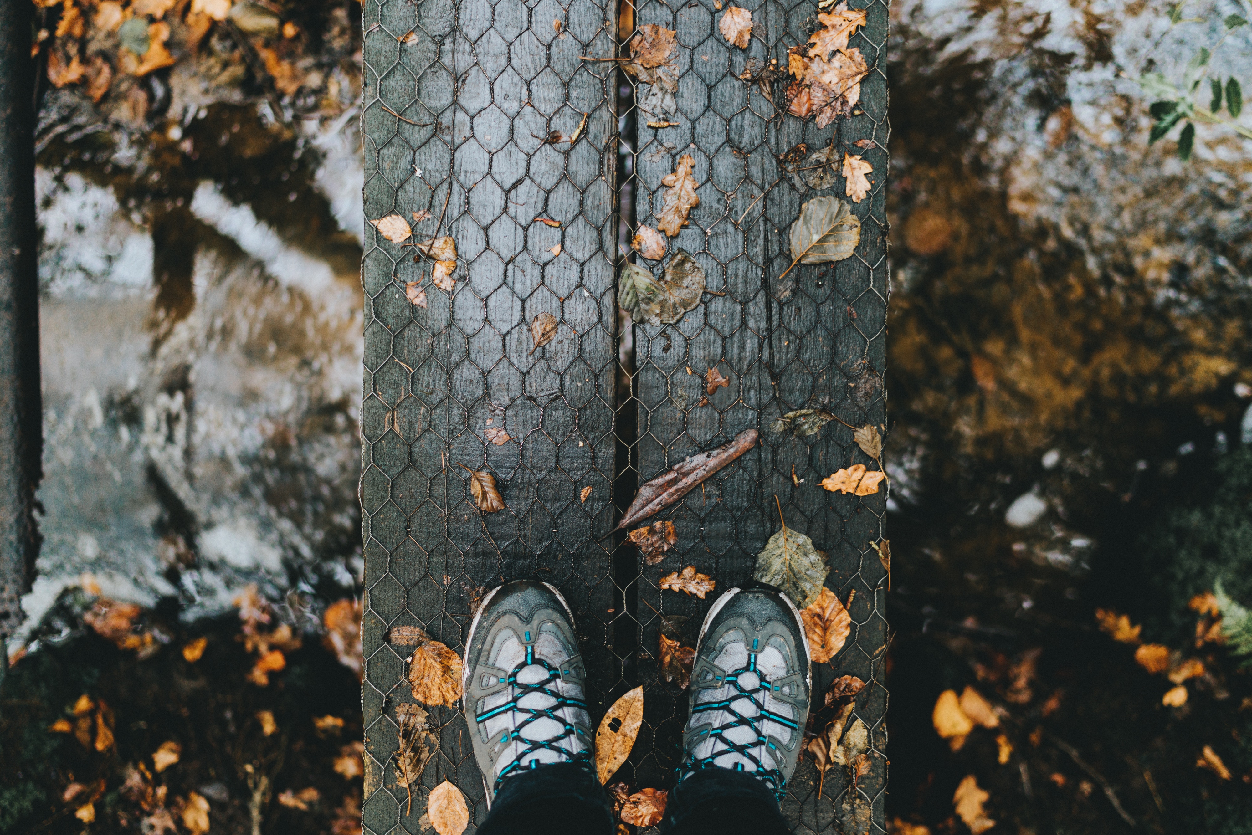Download mobile wallpaper Legs, Autumn, Nature, Foliage, Rain for free.