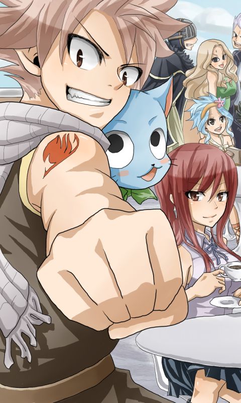 Download mobile wallpaper Anime, Fairy Tail, Natsu Dragneel, Erza Scarlet, Happy (Fairy Tail), Levy Mcgarden, Bickslow (Fairy Tail), Evergreen (Fairy Tail) for free.