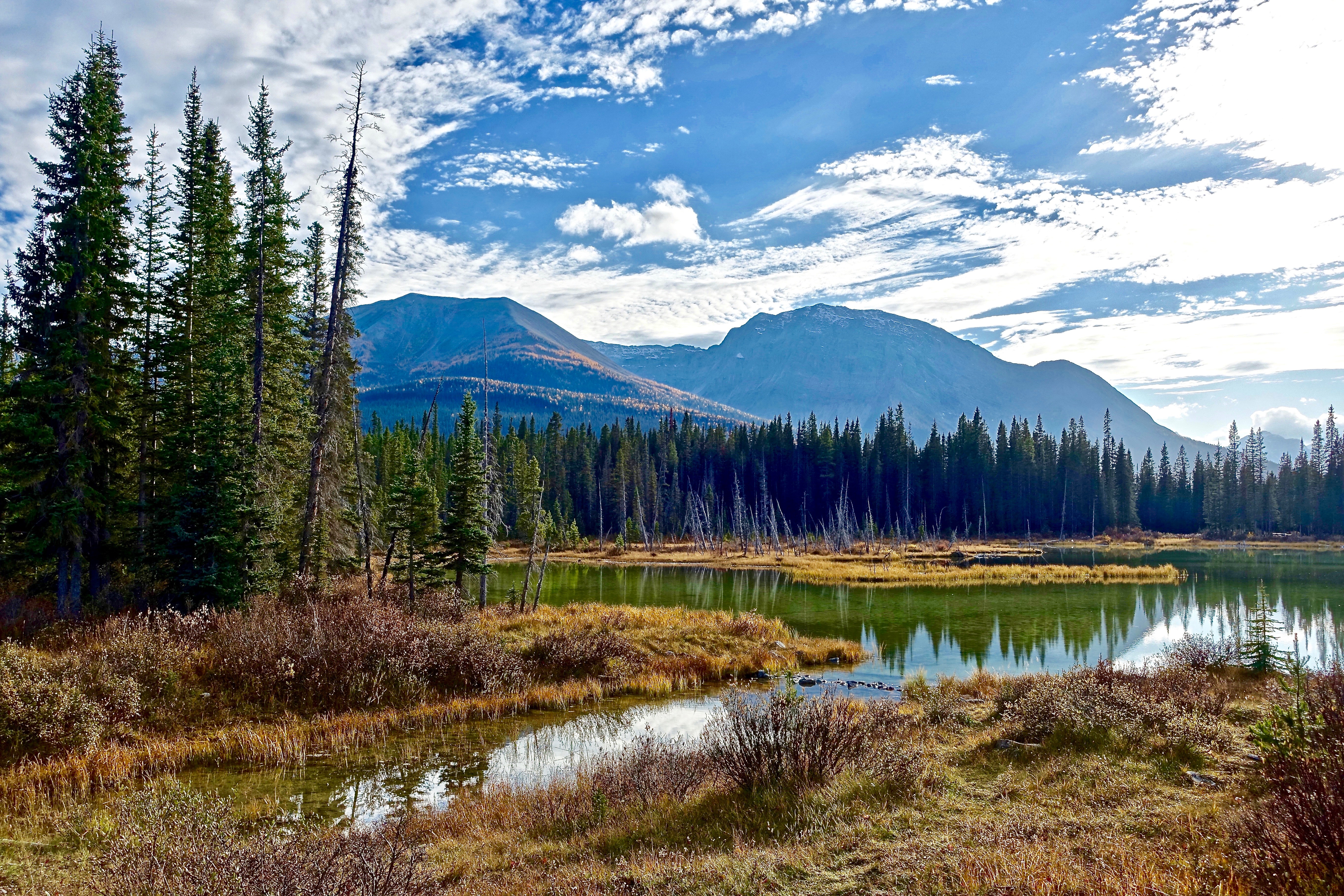 Téléchargez gratuitement l'image Nature, Lac, Arbres, Montagnes sur le bureau de votre PC