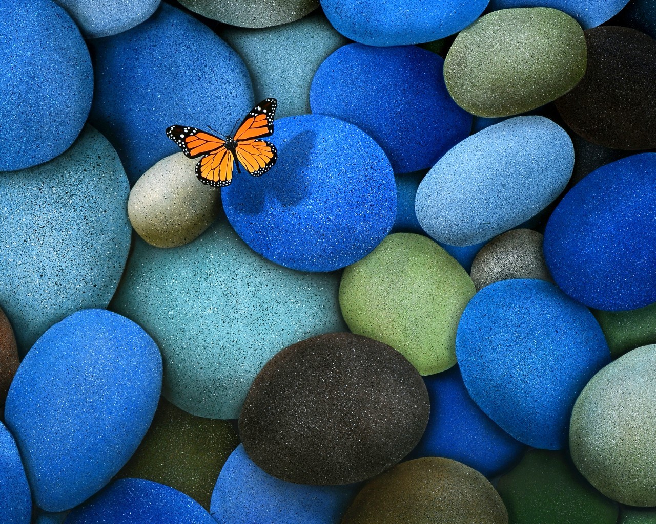 insects, butterflies, background, stones
