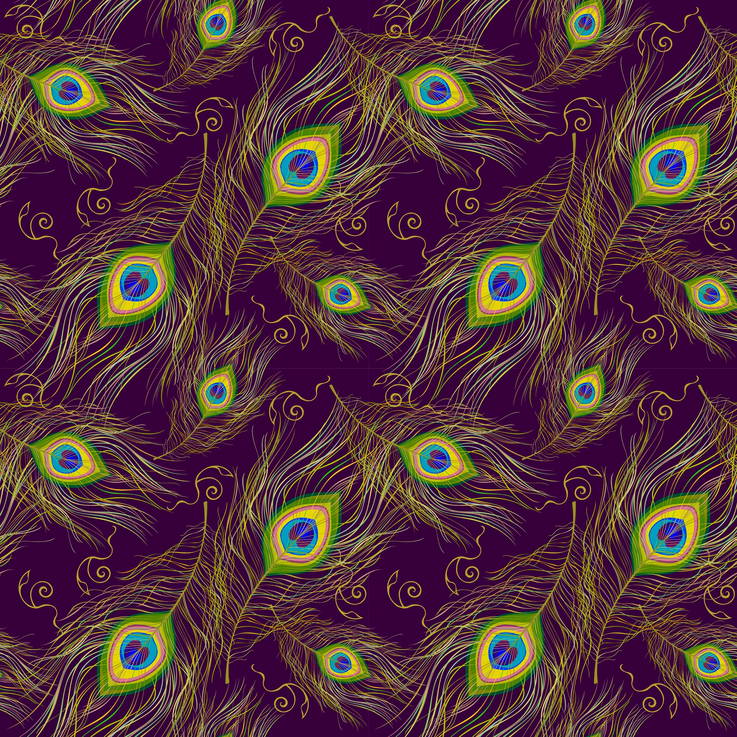 patterns, peacock, feather, multicolored, motley, texture, textures iphone wallpaper