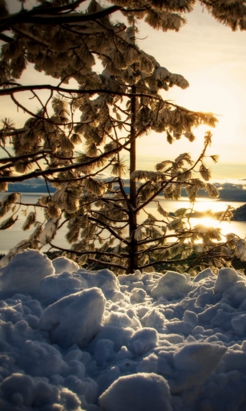 Descarga gratuita de fondo de pantalla para móvil de Invierno, Tierra/naturaleza.