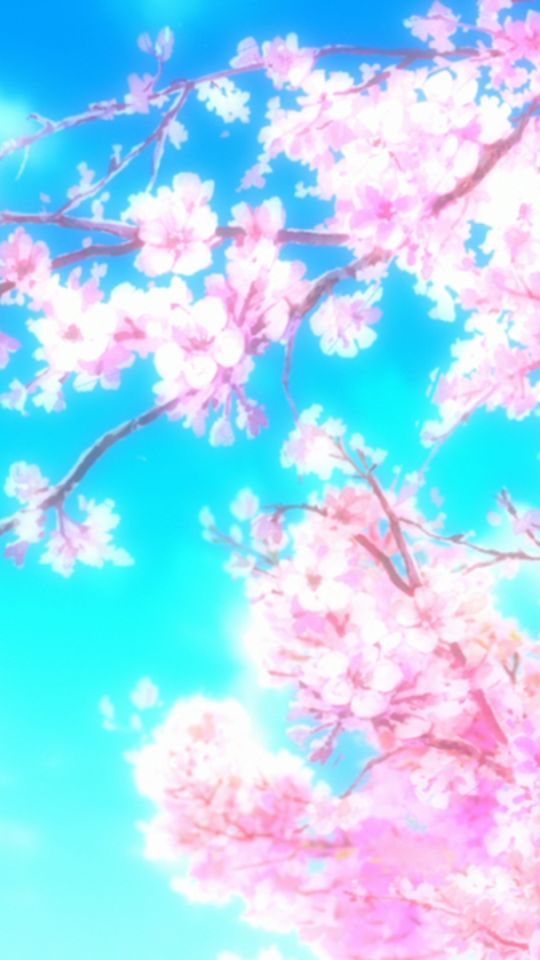 Handy-Wallpaper Sakura, Kirschblüte, Animes, Sakura Blüte, Hyouka kostenlos herunterladen.