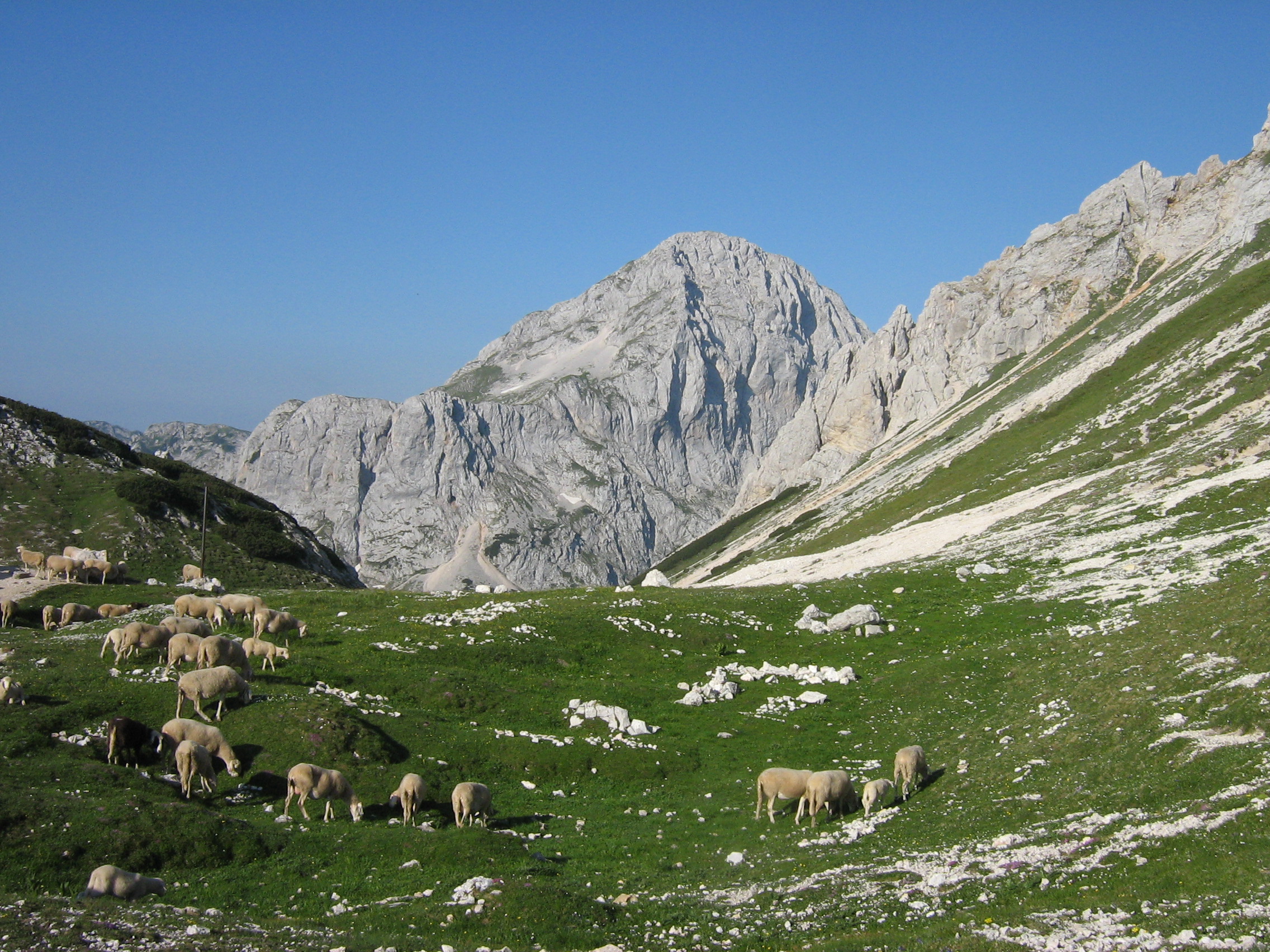 Descarga gratuita de fondo de pantalla para móvil de Montañas, Naturaleza, Montaña, Tierra/naturaleza.