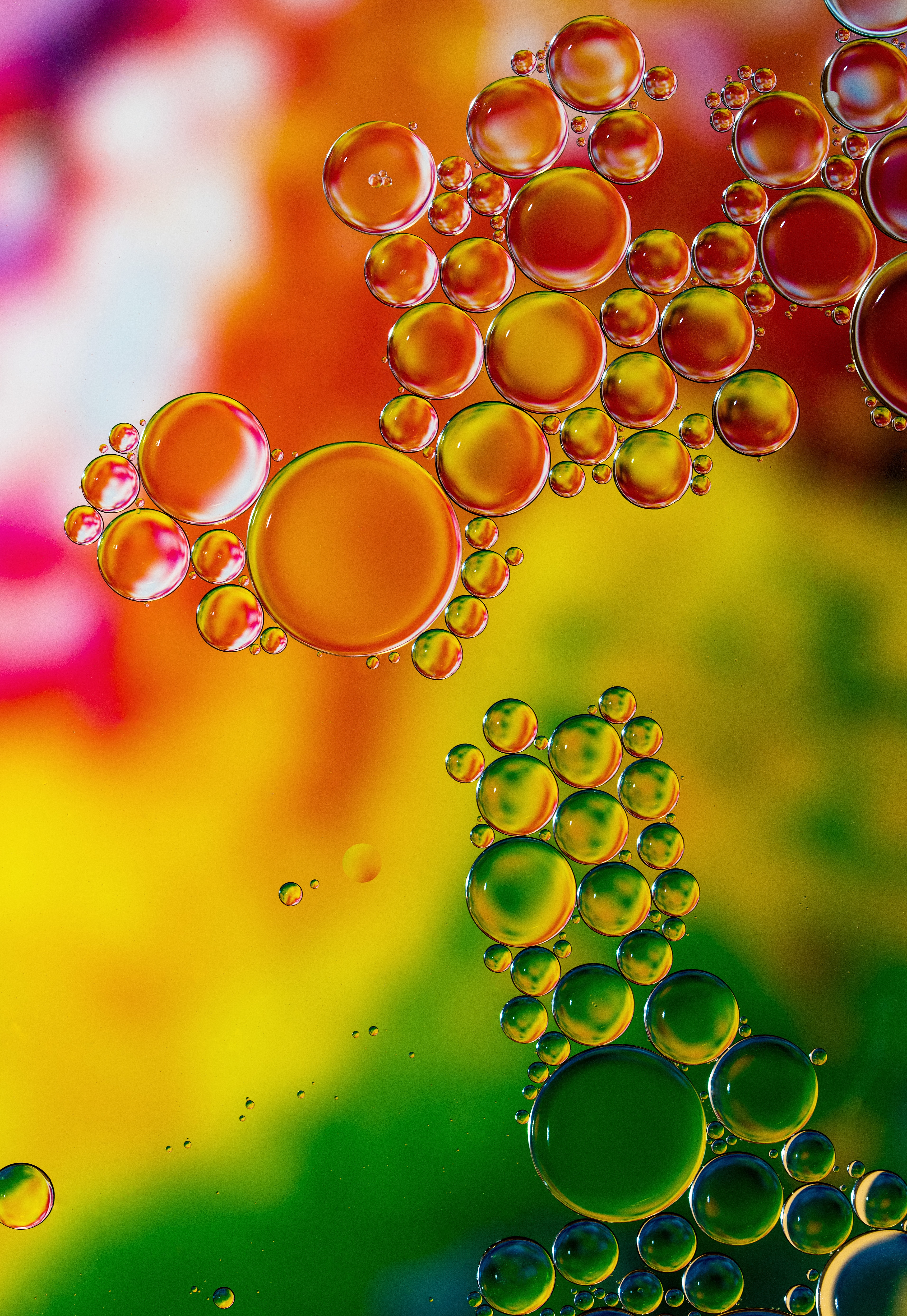 Téléchargez gratuitement l'image Bubbles, Transparent, Hétéroclite, Liquide, Multicolore, Macro sur le bureau de votre PC