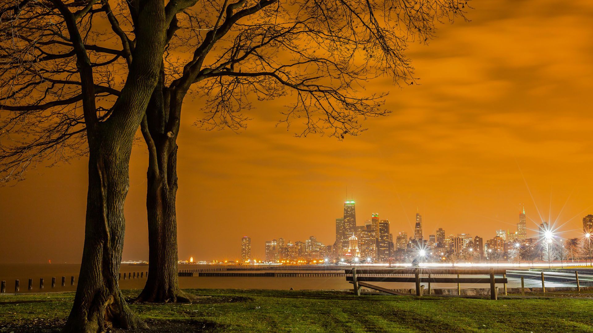 Download mobile wallpaper Chicago, Usa, Cities, Man Made, Tree, Night, City for free.