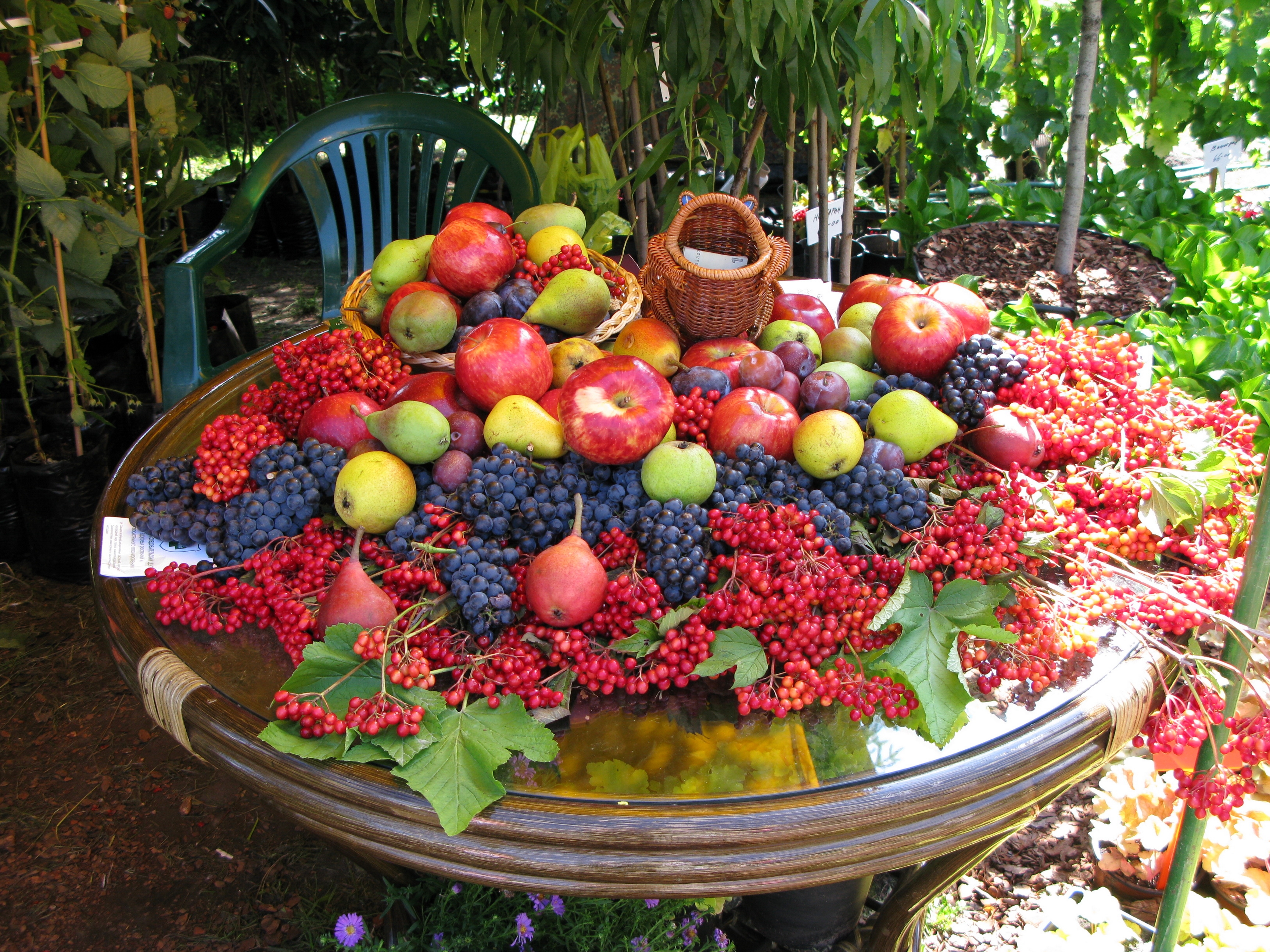 berries, fruits, food, table, lot