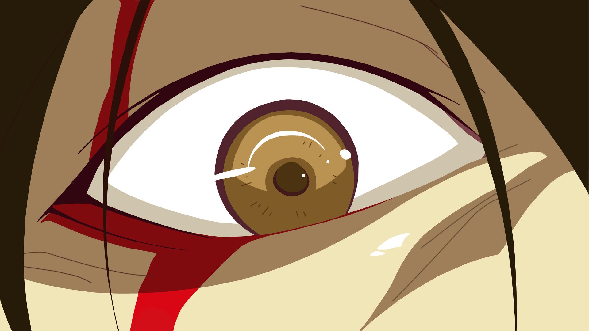 Free download wallpaper Anime, Eye, Monogatari (Series), Koyomi Araragi on your PC desktop