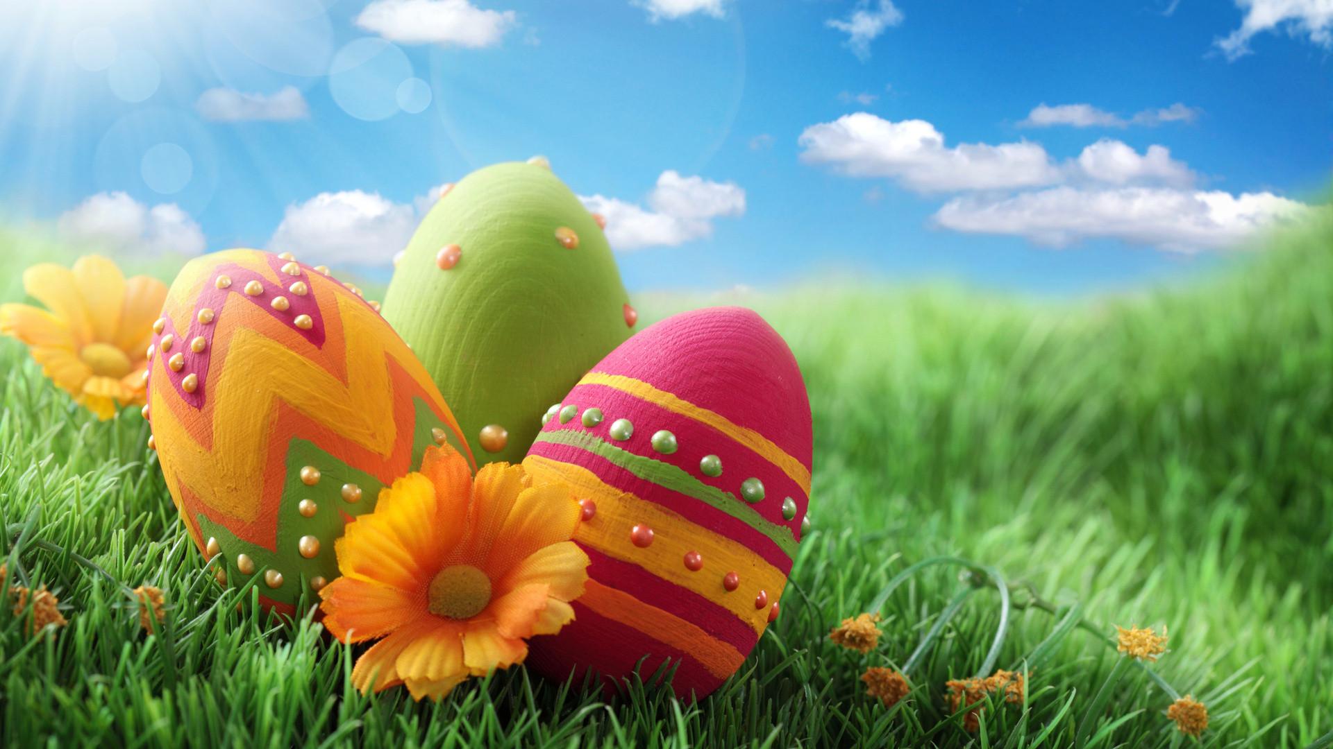 Скачати мобільні шпалери Великдень, Квітка, Свято, Барвистий, Яйце, Кольори, Пасхальне Яйце безкоштовно.