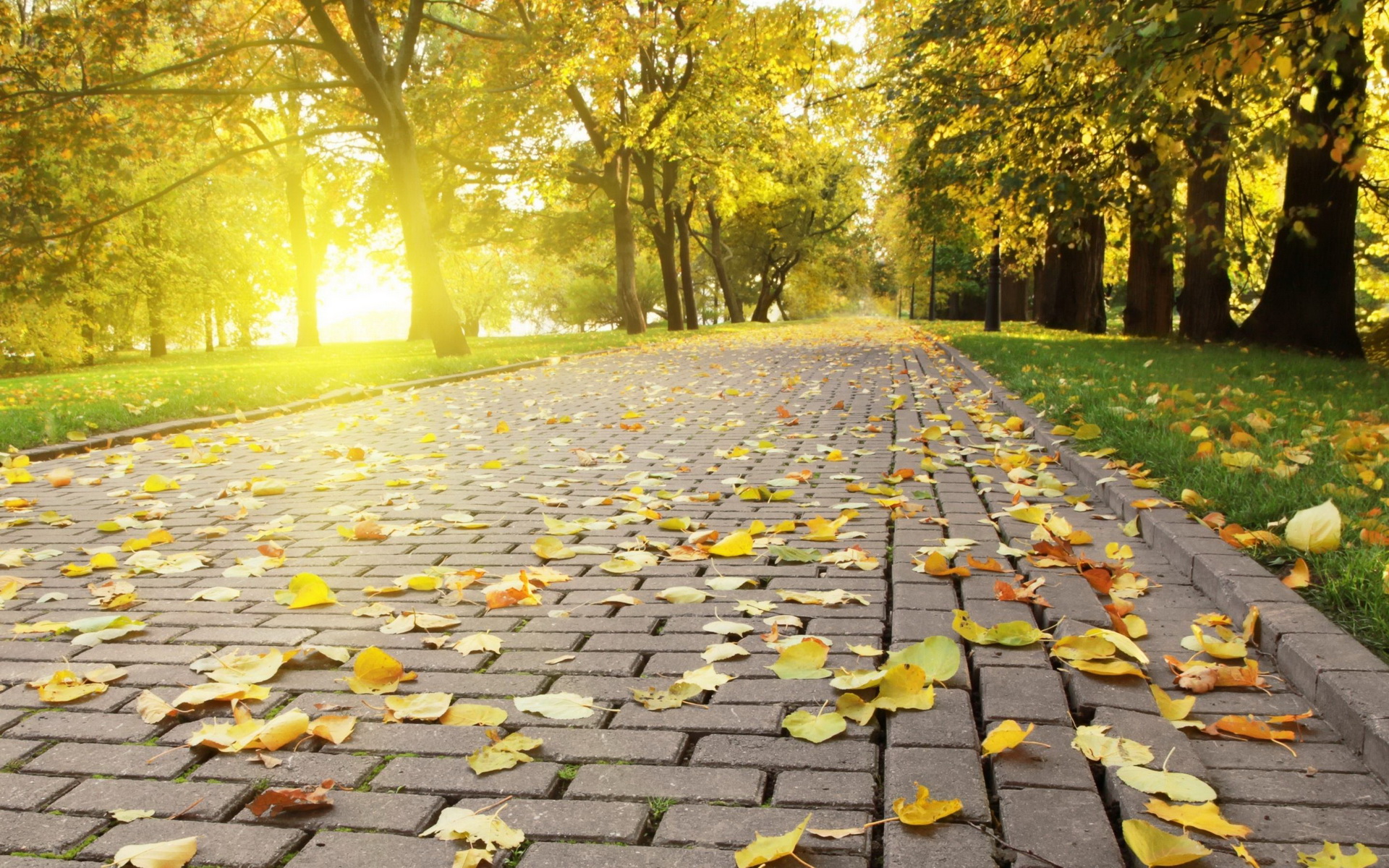 Laden Sie das Park, Fotografie-Bild kostenlos auf Ihren PC-Desktop herunter