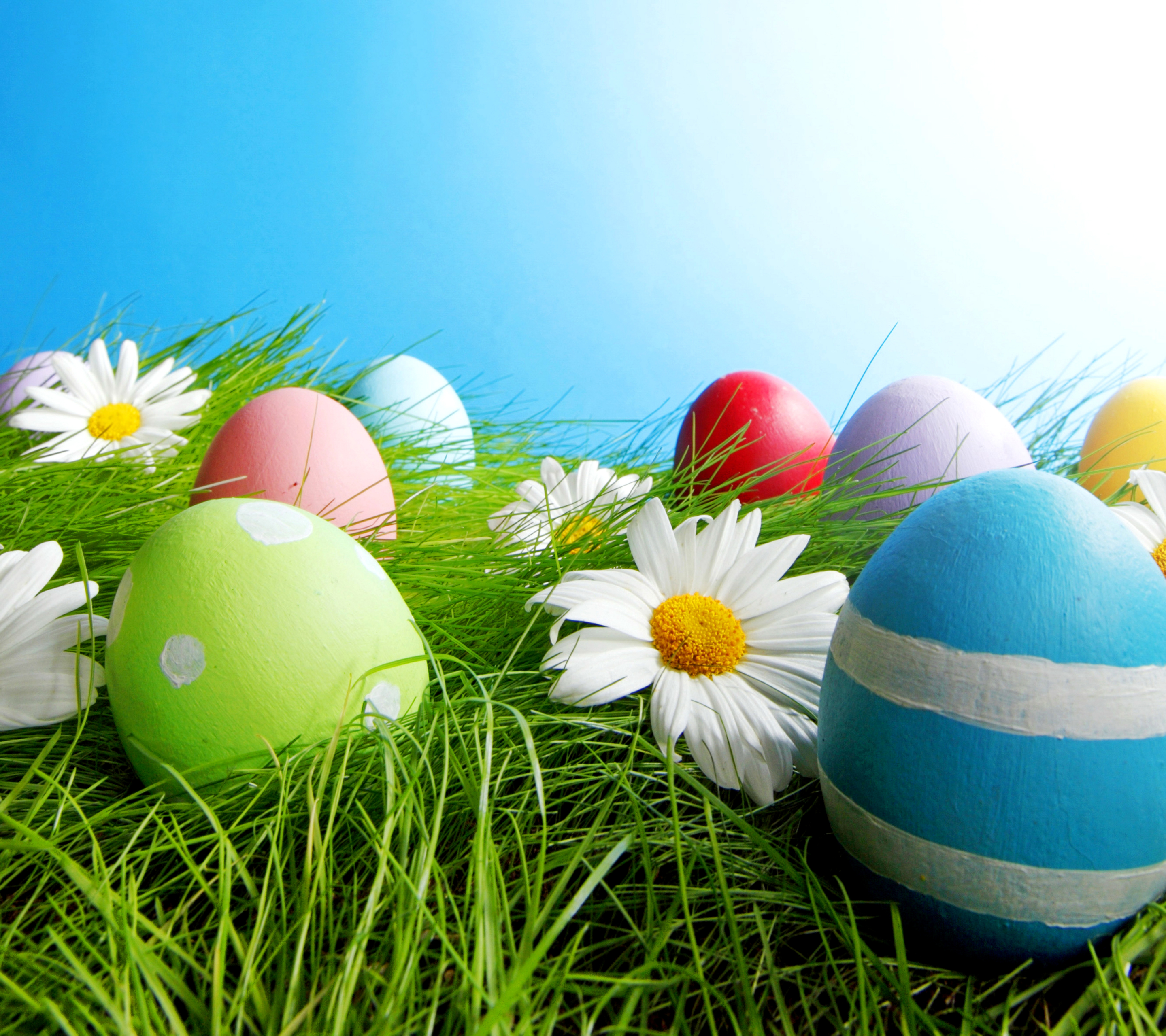 Handy-Wallpaper Feiertage, Ostern, Blume, Bunt, Gras, Ferien, Feiertag, Osterei kostenlos herunterladen.
