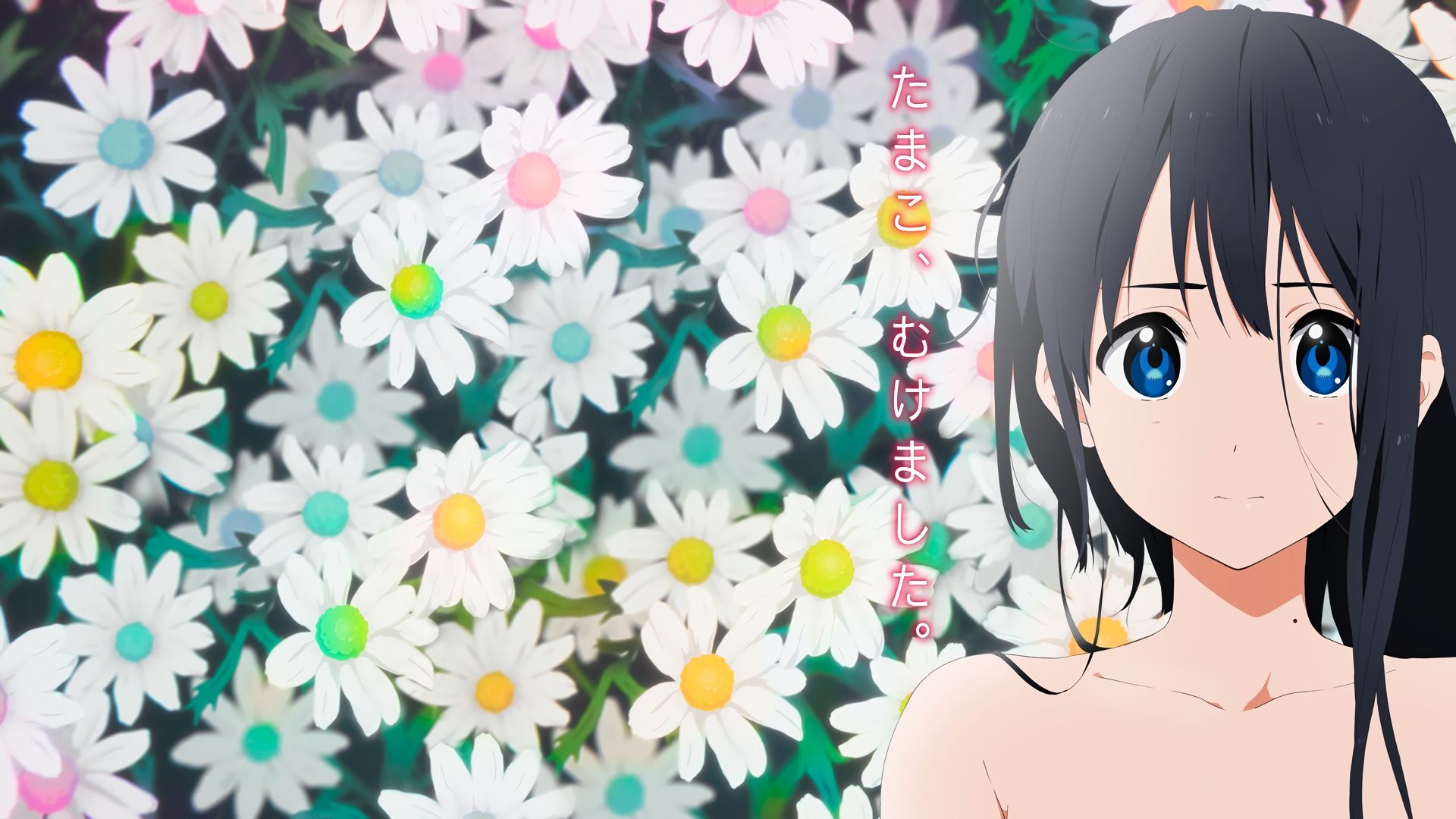 750913 Hintergrundbild herunterladen animes, tamako market, tamako kitashirakawa - Bildschirmschoner und Bilder kostenlos
