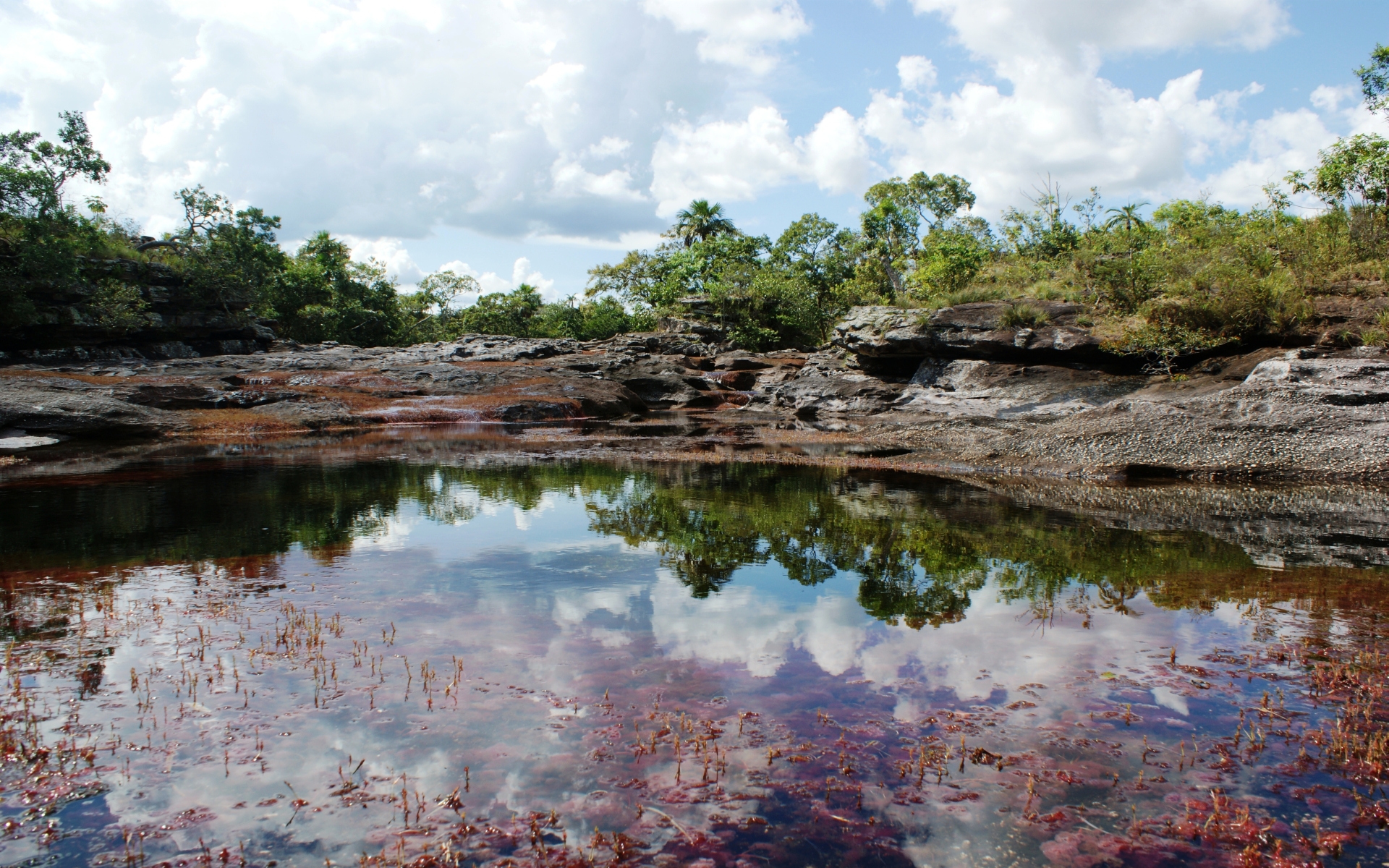 Download mobile wallpaper Earth, Caño Cristales for free.