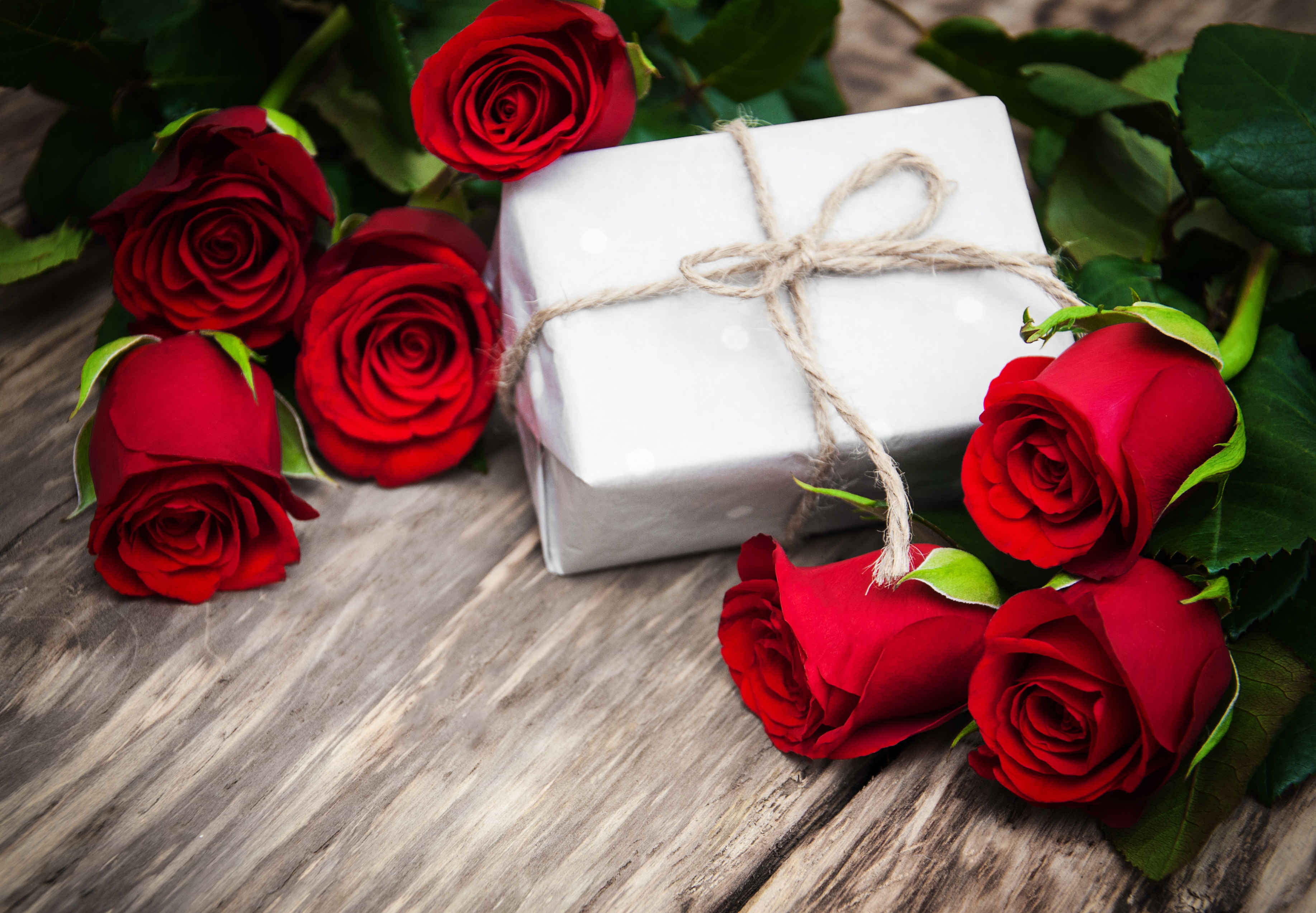 Скачать картинку Любовь, Разное, Роза, Подарок, Красный Цветок в телефон бесплатно.