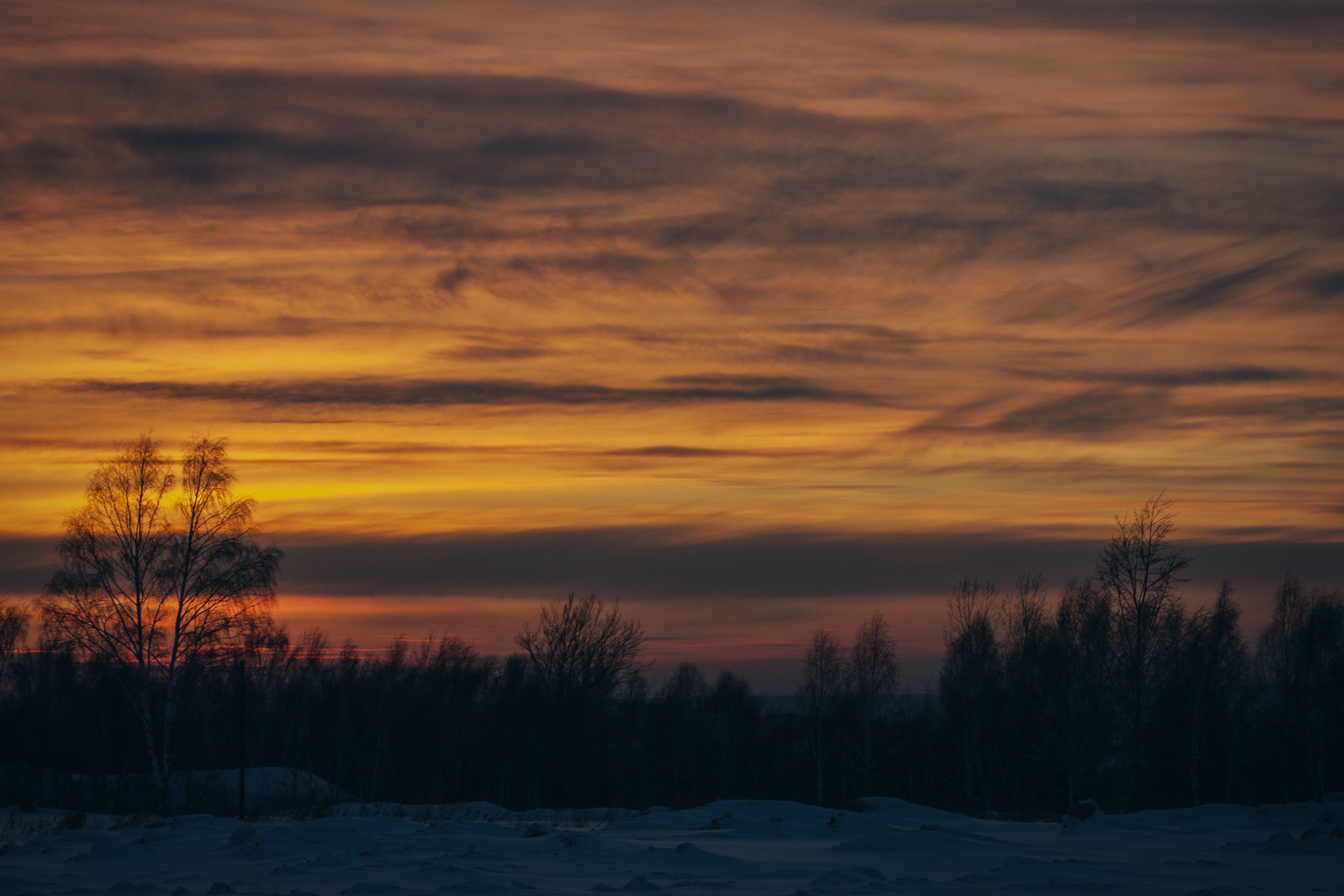 Free download wallpaper Winter, Trees, Sunset, Nature, Snow on your PC desktop