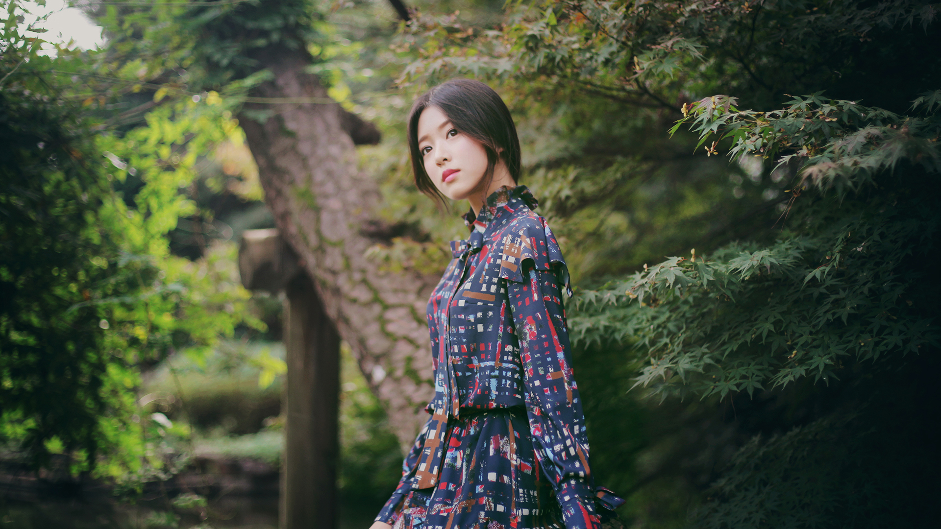 Free download wallpaper Dress, Brunette, Model, Women, Asian, Depth Of Field on your PC desktop