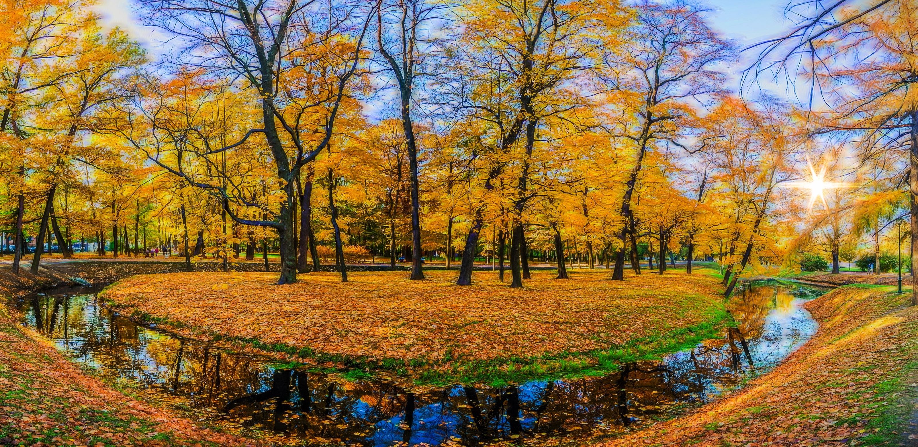 Скачать картинку Осень, Лес, Парк, Дерево, Фотографии в телефон бесплатно.