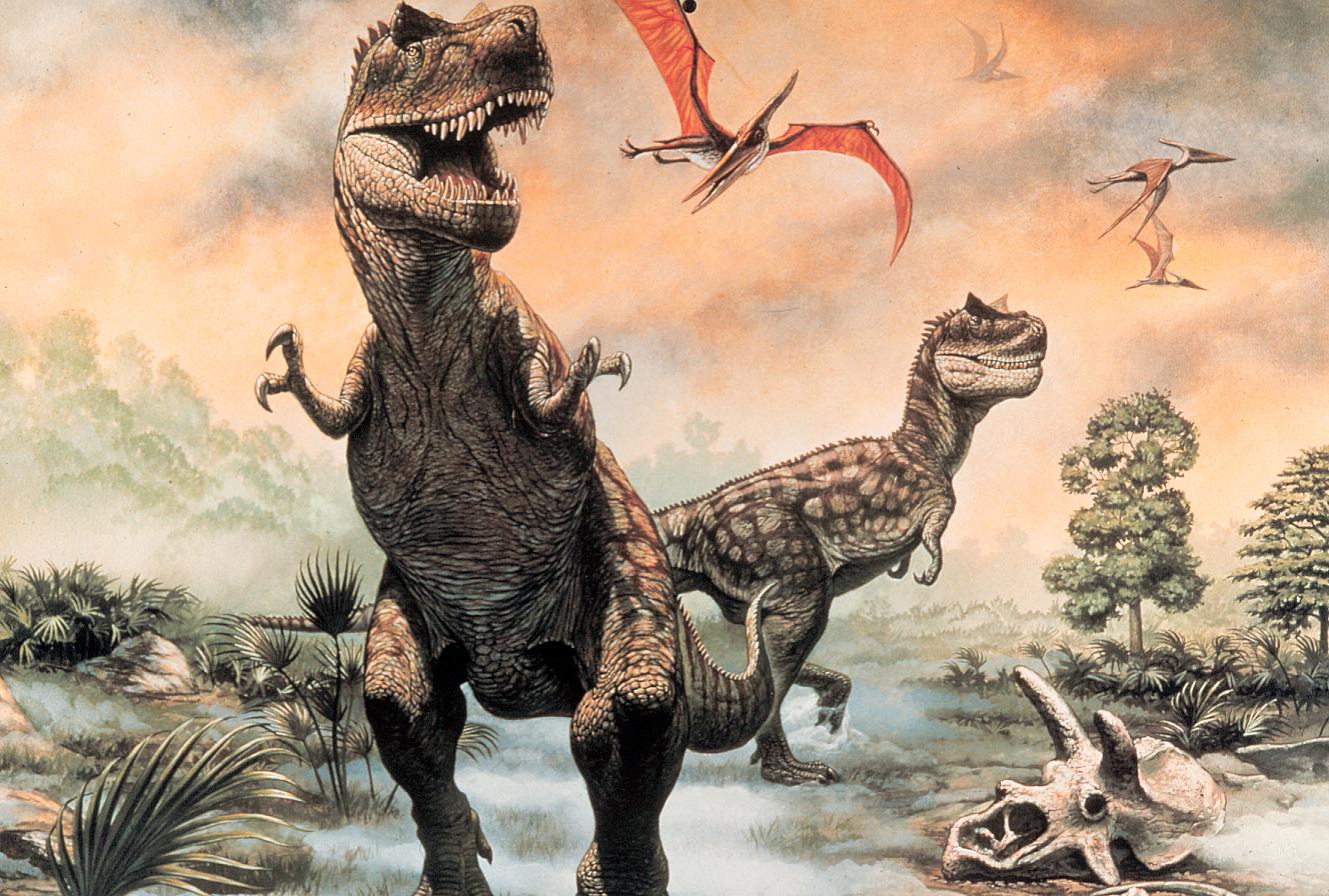 1515184 descargar fondo de pantalla animales, dinosaurio, pterosaurio: protectores de pantalla e imágenes gratis