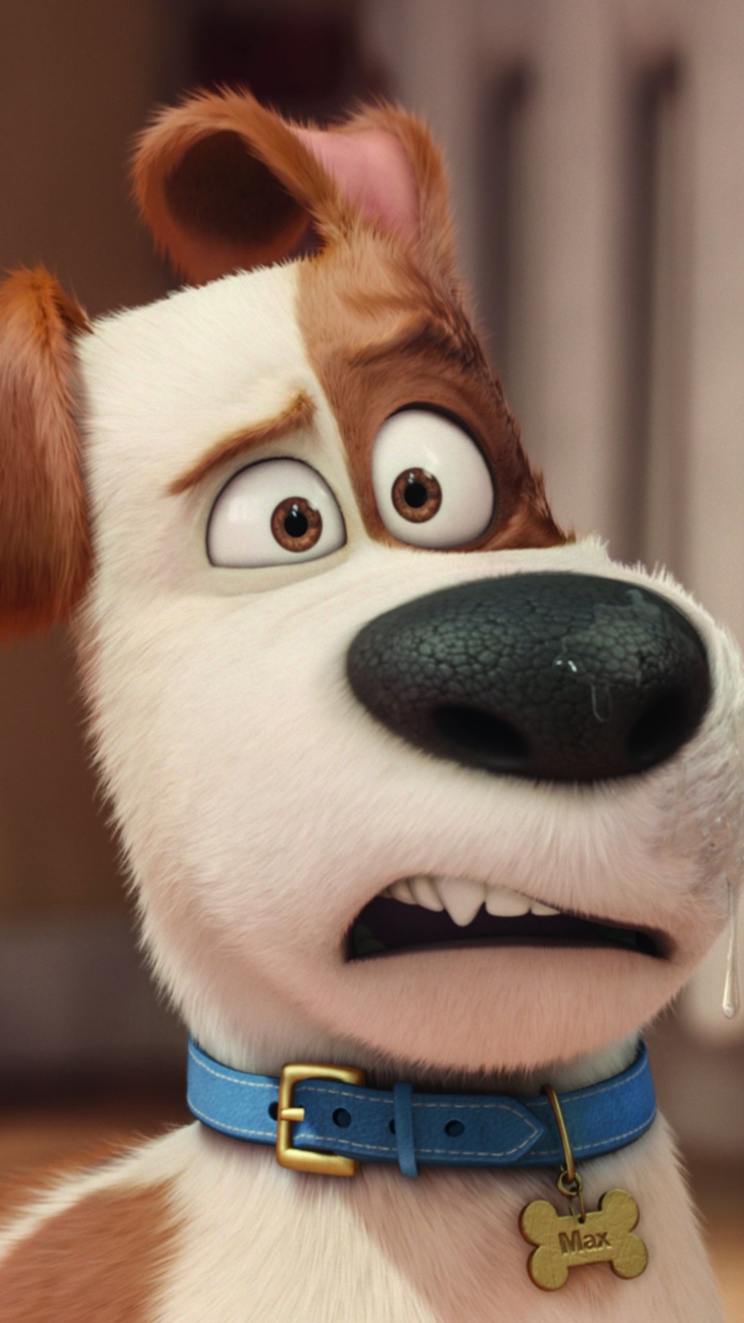 movie, the secret life of pets iphone wallpaper