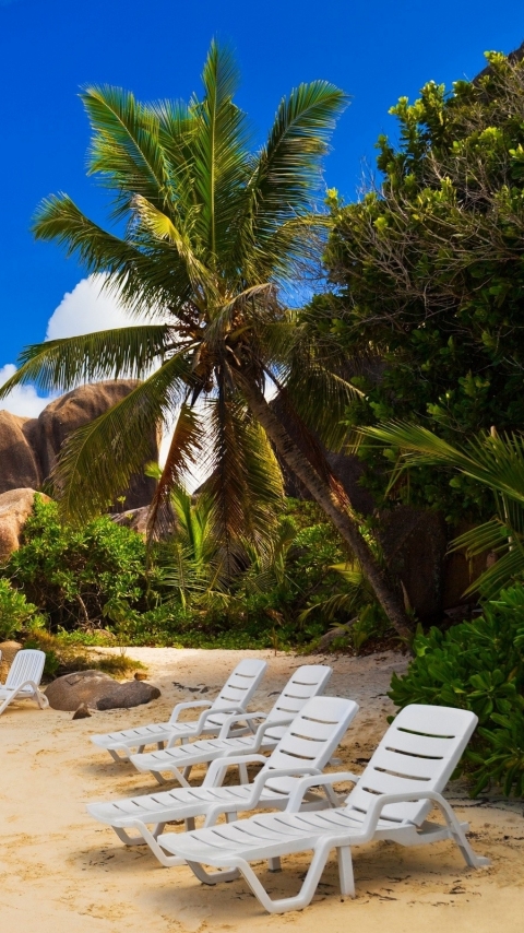Handy-Wallpaper Strand, Sand, Stuhl, Baum, Ozean, Palme, Tropisch, Fotografie, Seychellen kostenlos herunterladen.