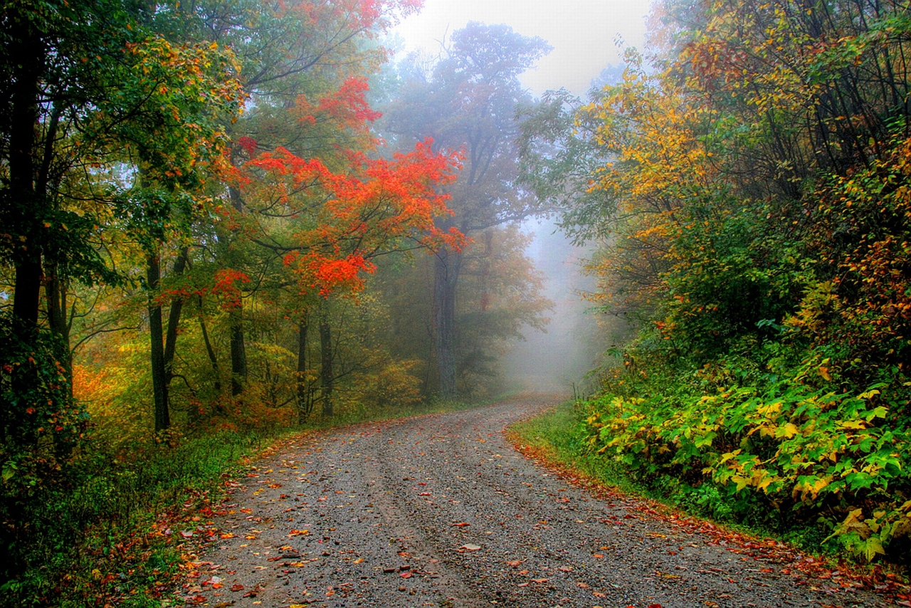 Descarga gratuita de fondo de pantalla para móvil de Carretera, Hecho Por El Hombre.