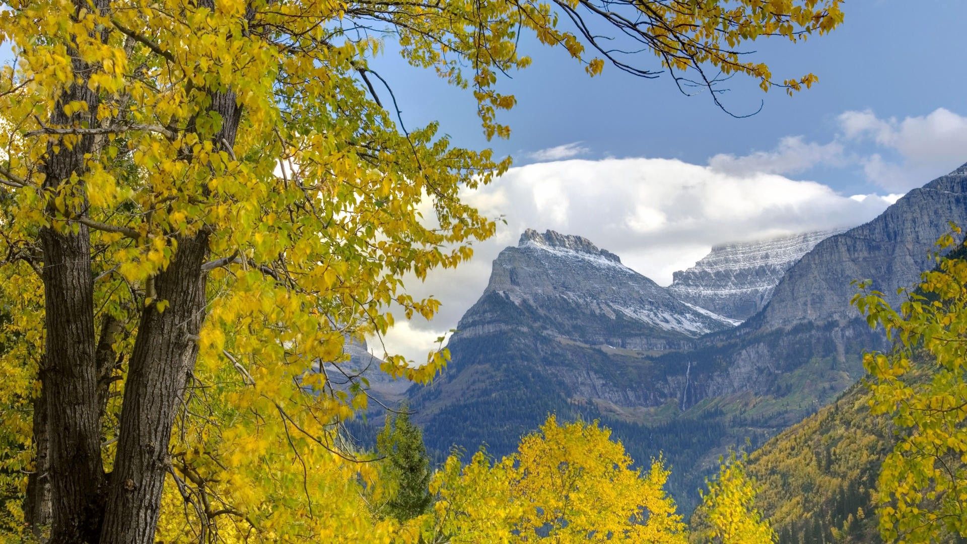 Laden Sie das Bäume, Mountains, Blätter, Geäst, Zweig, Dahl, Distanz, Natur, Herbst-Bild kostenlos auf Ihren PC-Desktop herunter